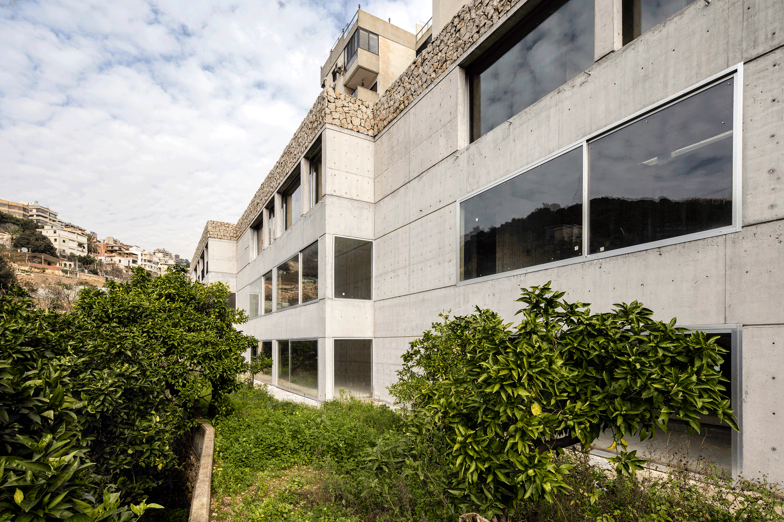 Exterior of the concrete house rising above dense garden planting