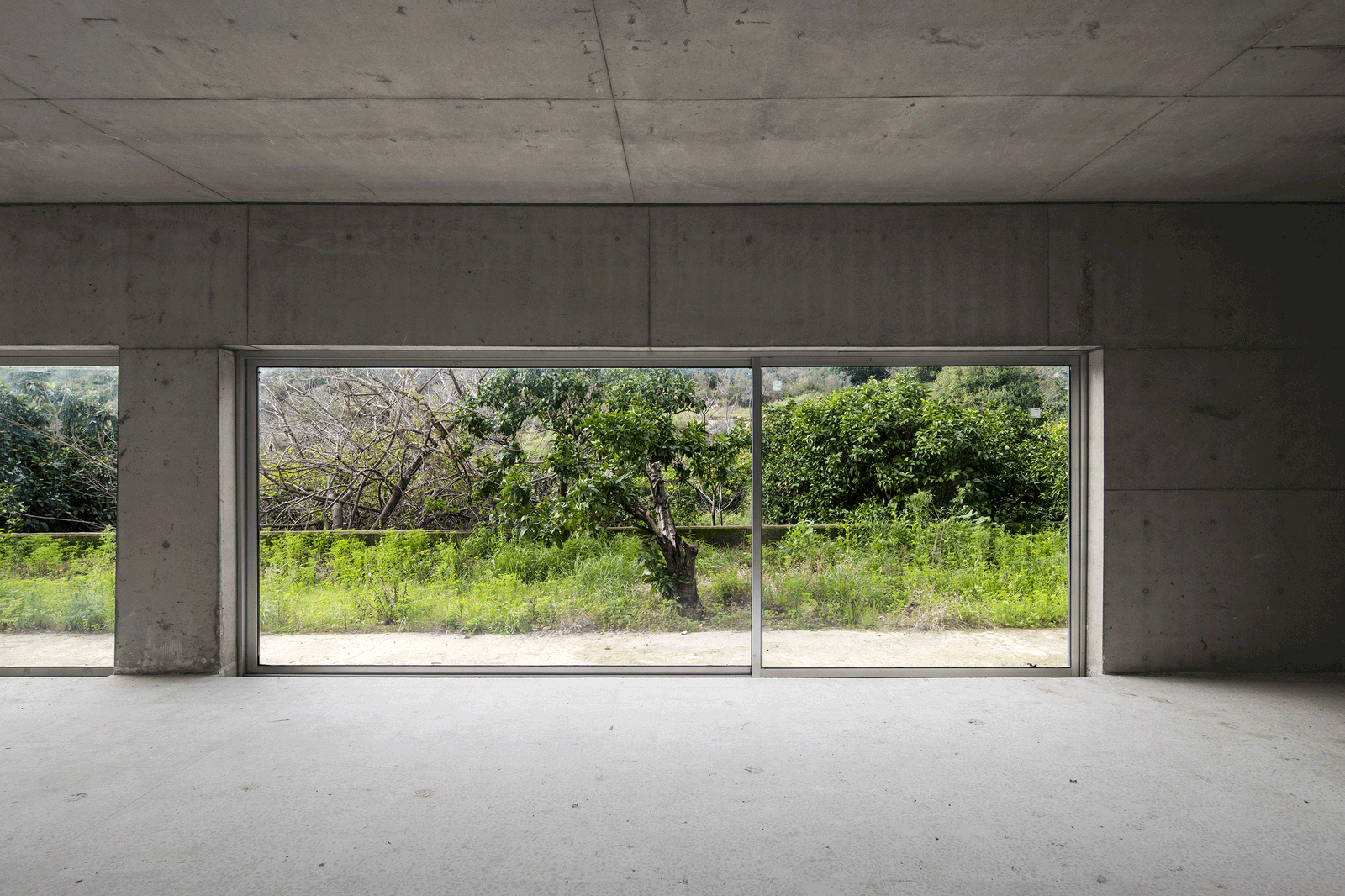 Empty concrete room with a wide sliding window to the garden