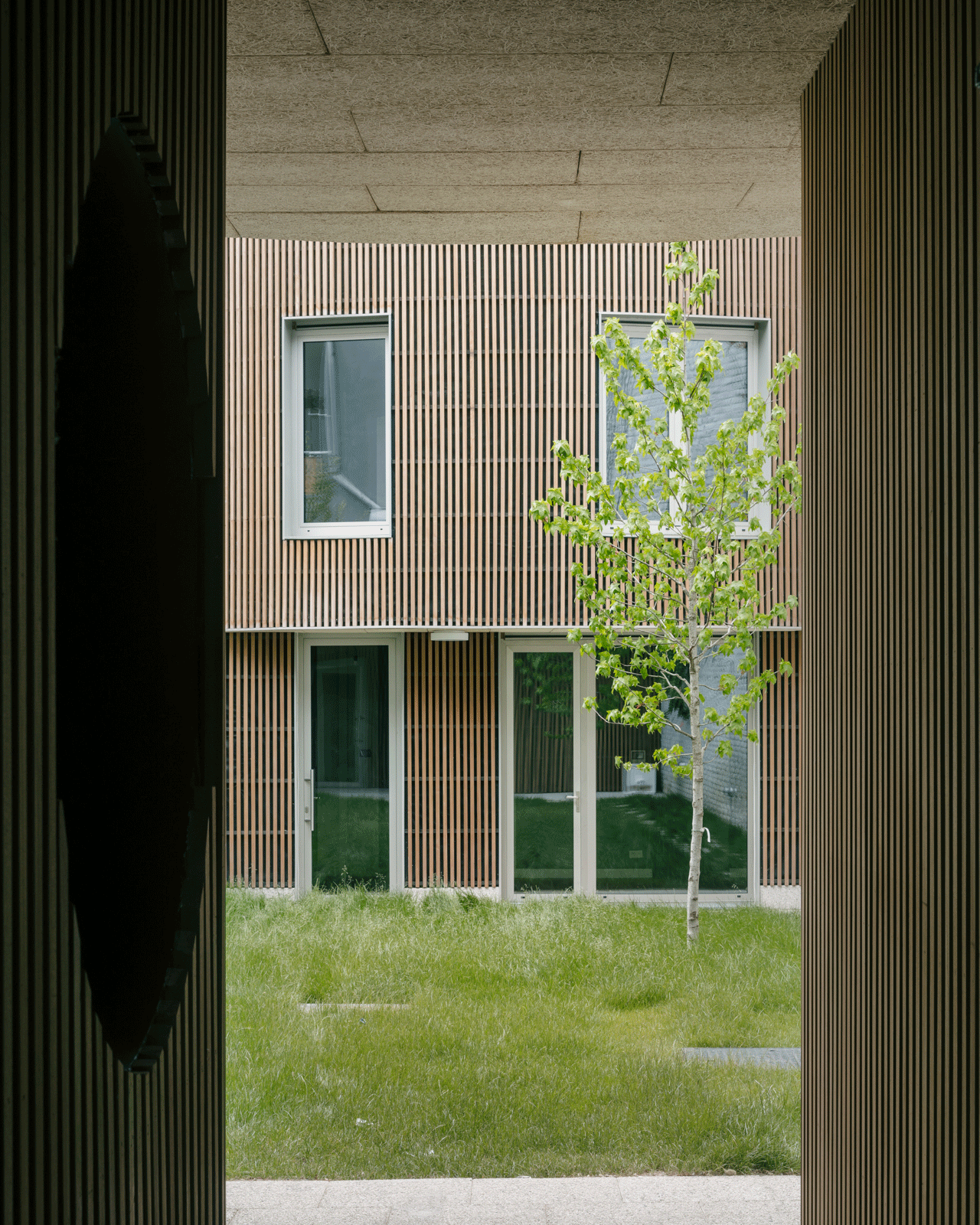 View through the timber-clad passage to the garden building