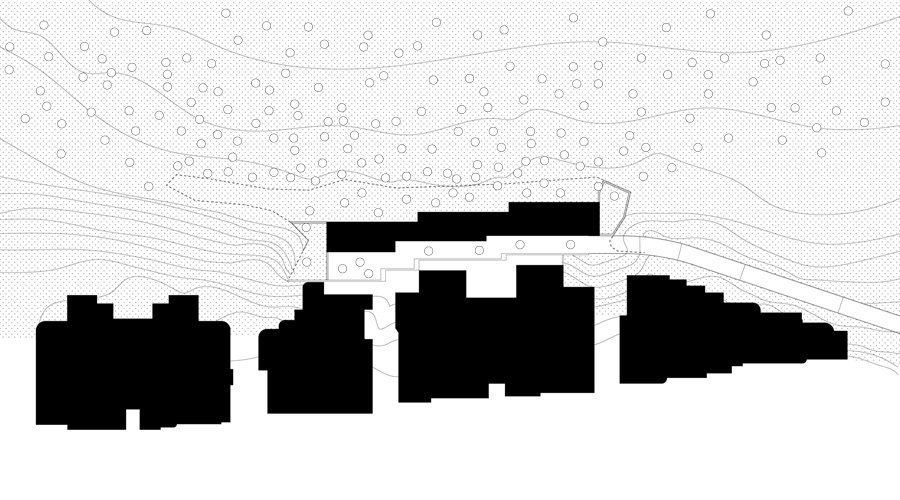 Topographic site plan locating the house between neighboring volumes