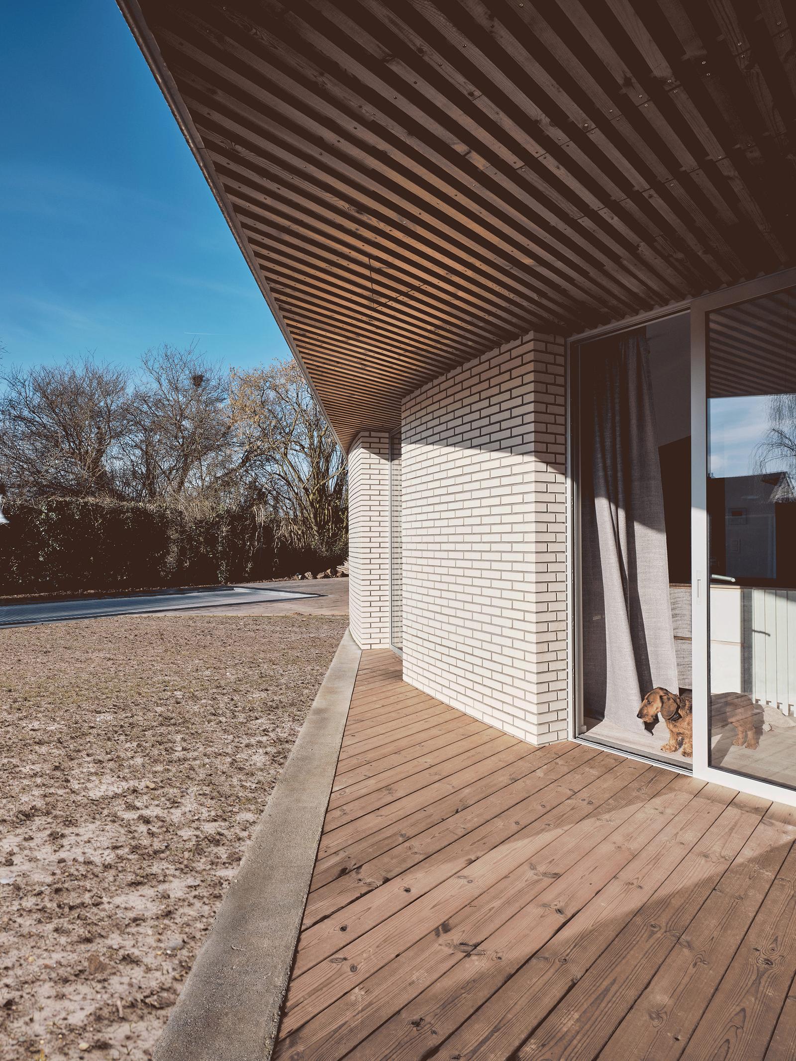 Curved timber soffit projecting over a rounded deck edge