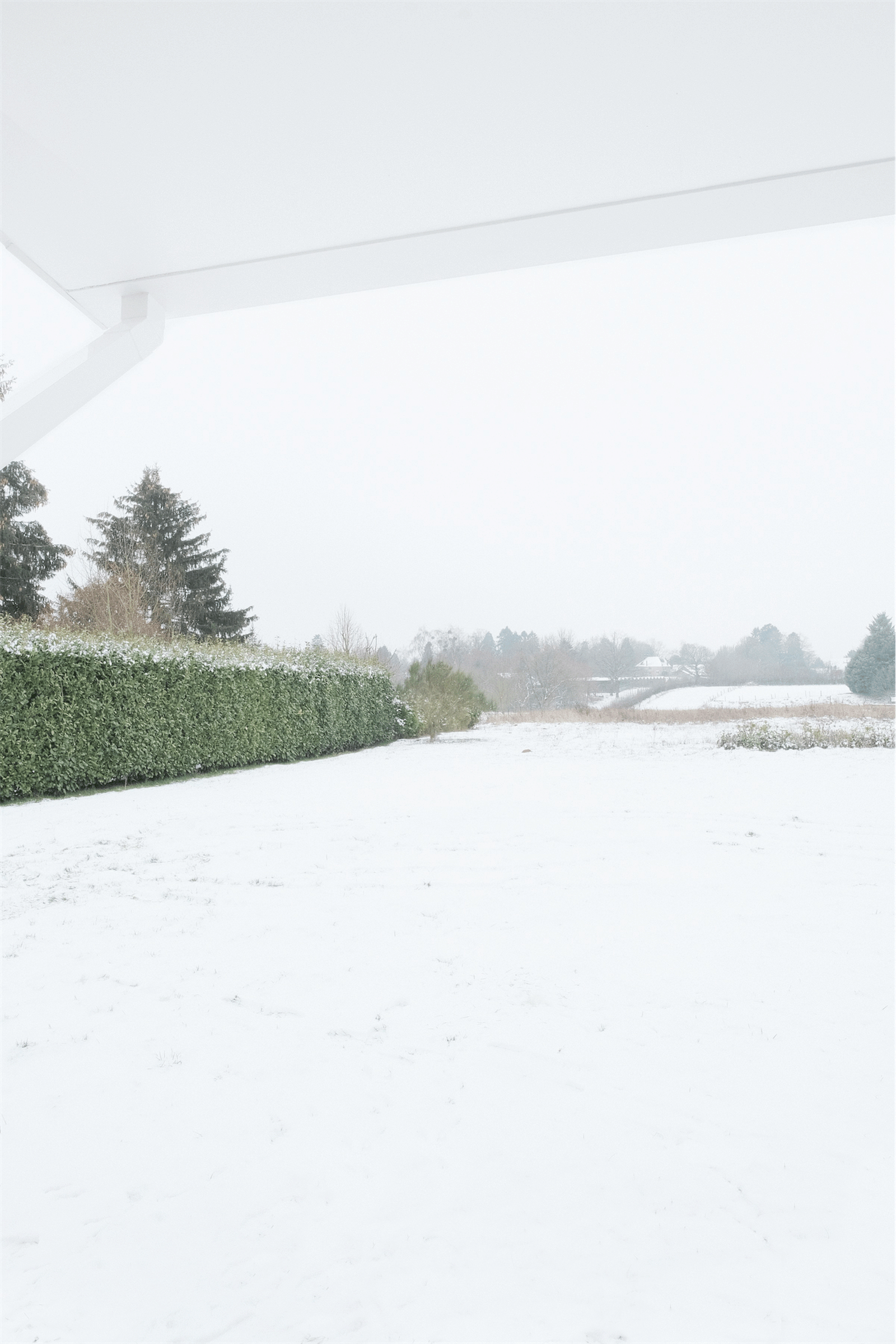 White interior framing a snow-covered rural landscape