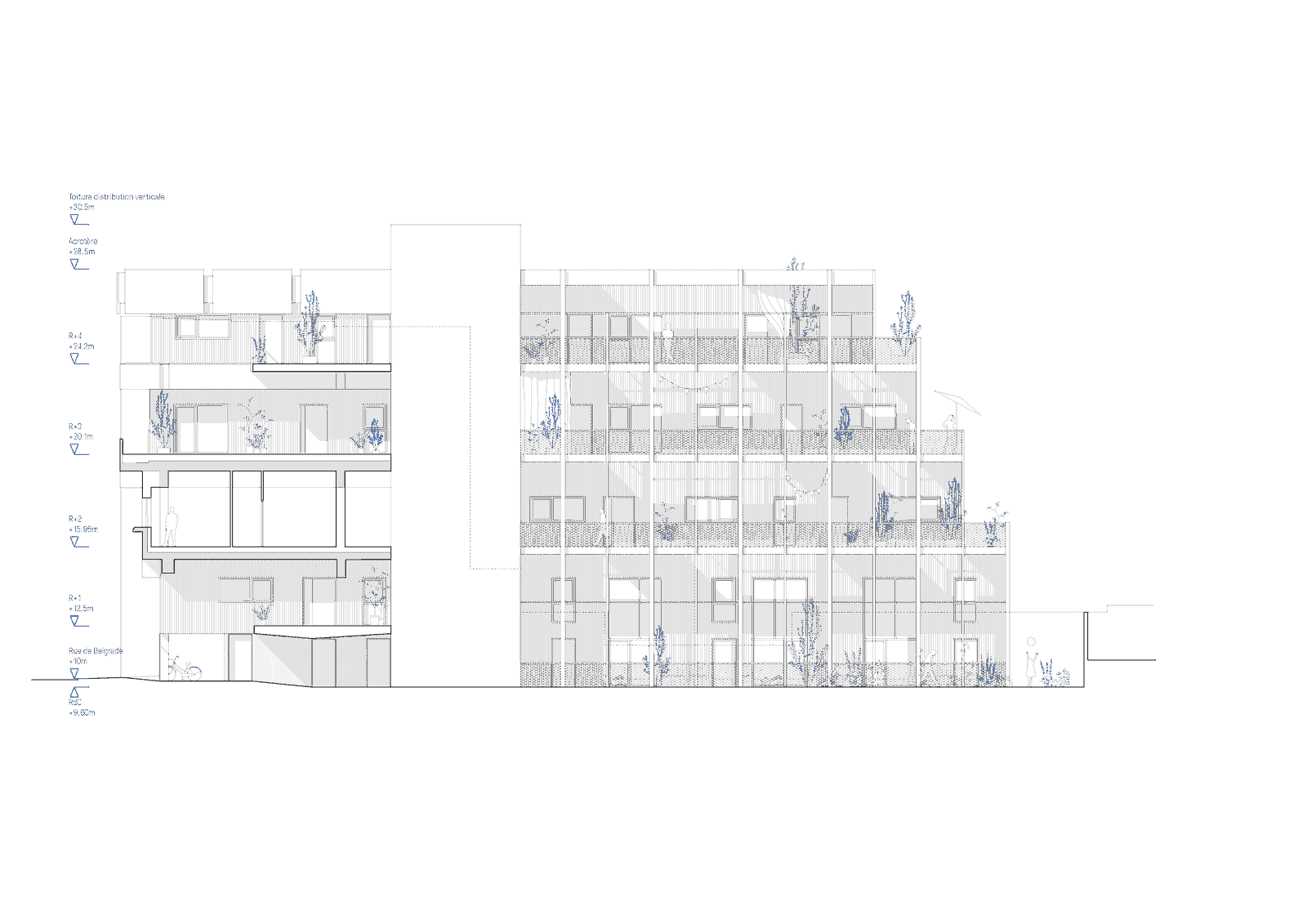 Elevation and section pairing the masonry block with a glazed frame