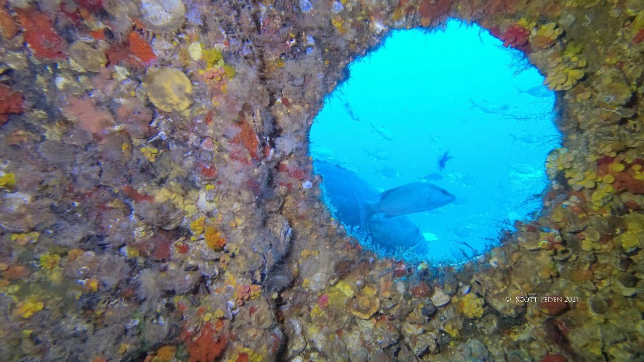 WreckGrouper