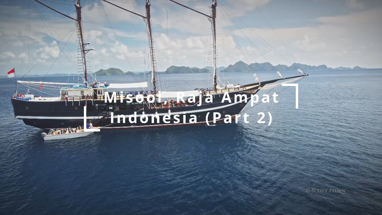 Misool Part 2