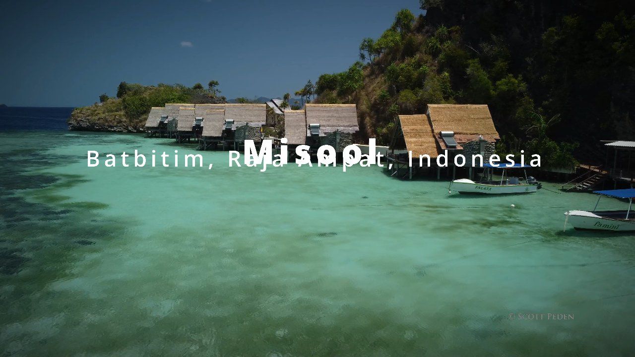 Misool DPV Time