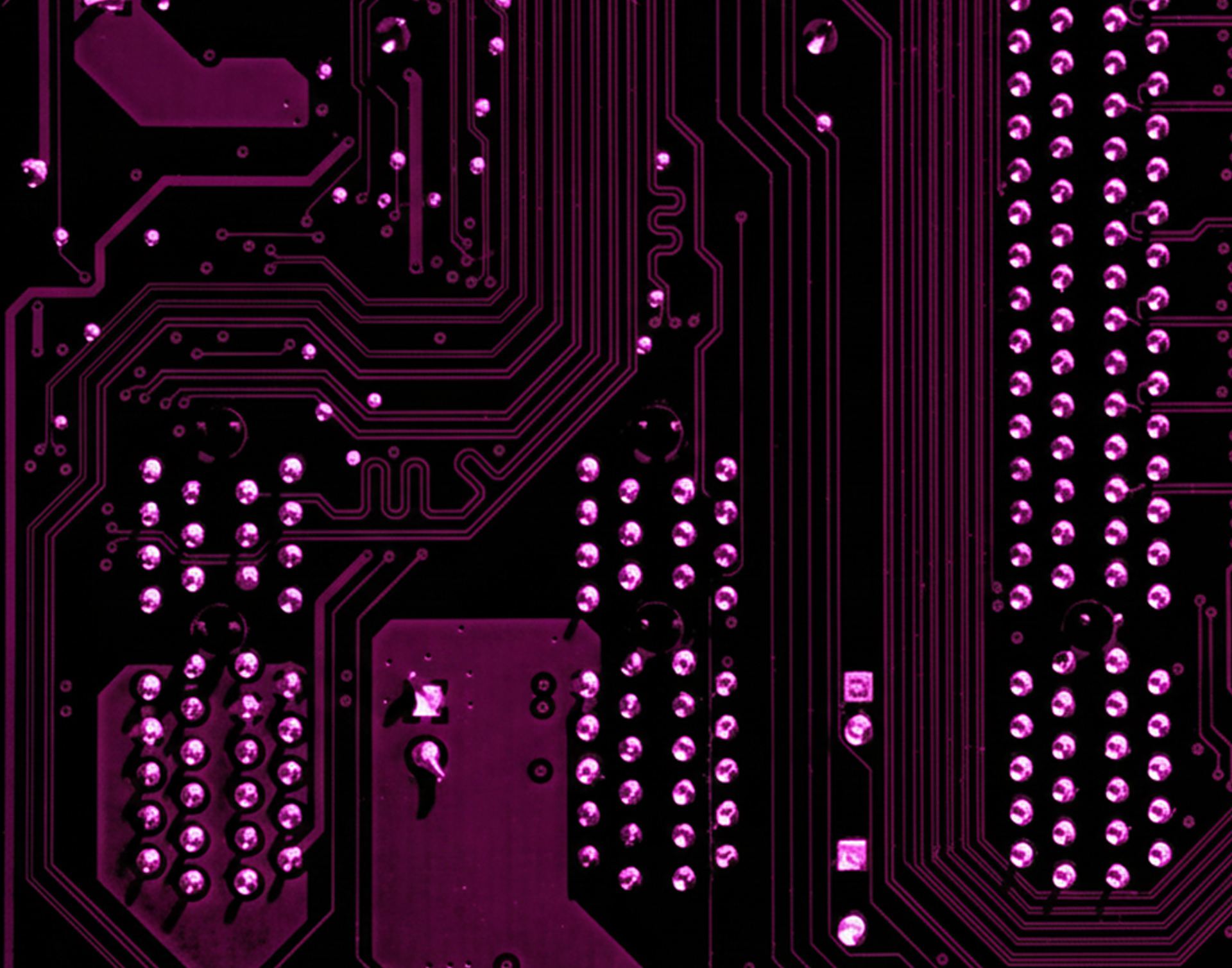 Data - Purple