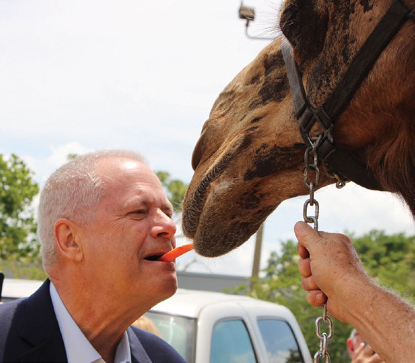 Sir Gus the kissing camel has been synonymous with the Bahia Shriners for decades. Pictured here is his successor, Sir Gus Jr.