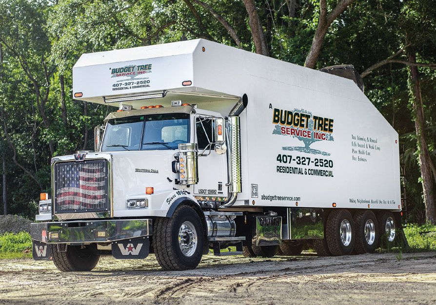 A Budget Tree Service in Winter Springs is placing a growing emphasis on plant health care, education, and industry-leading practices.