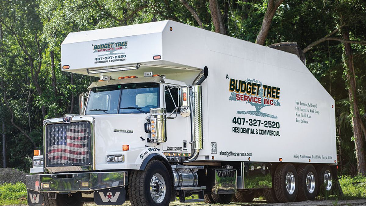 A Budget Tree Service in Winter Springs is placing a growing emphasis on plant health care, education, and industry-leading practices.
