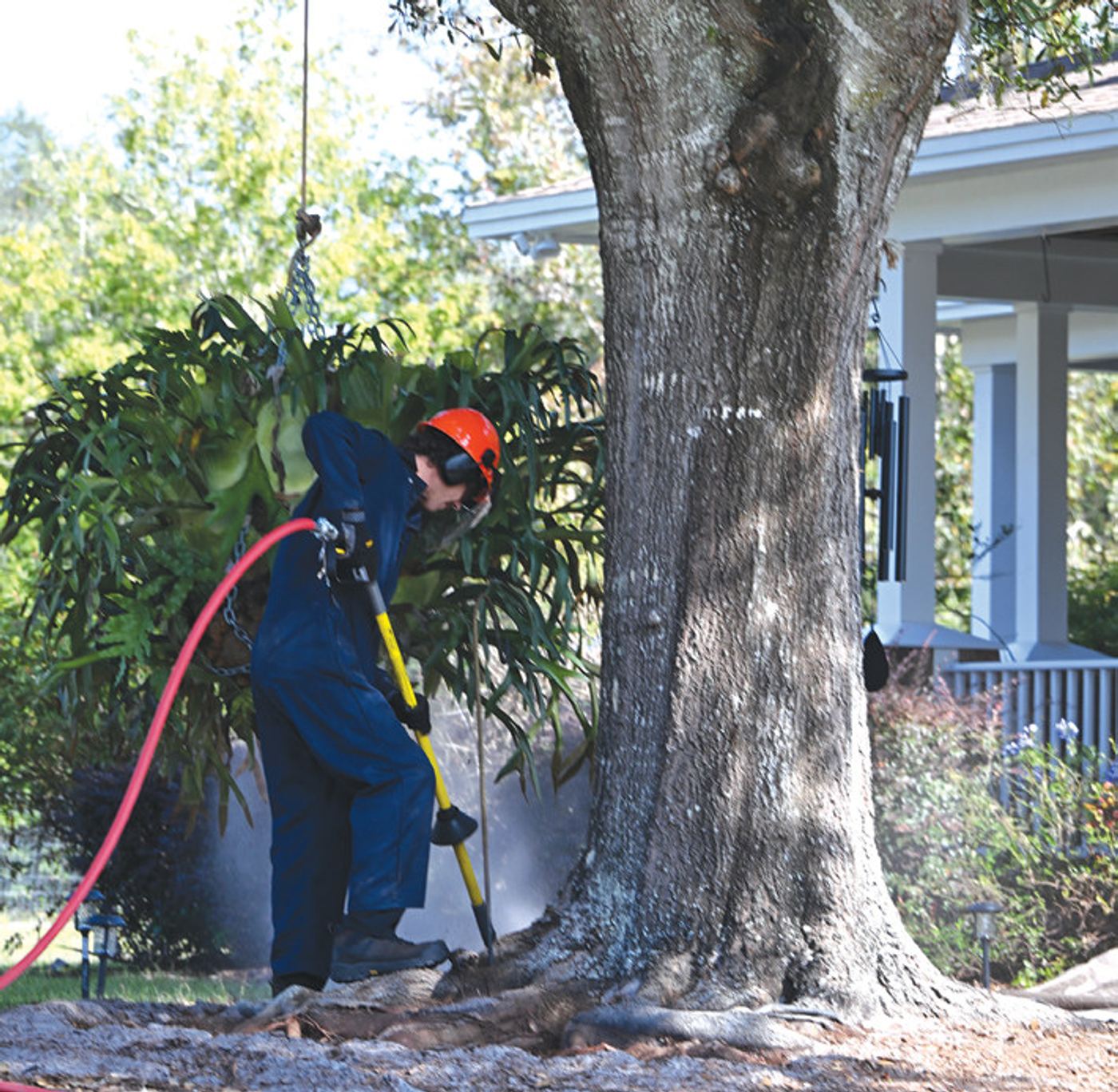 A Budget Tree Service