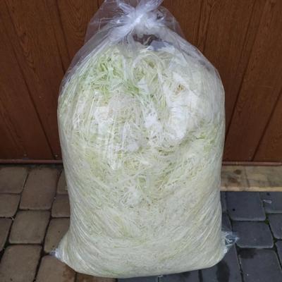 Darek kukiełka, kapusta własnej produkcji, szatkowana, głowki, kiszona, tyszowce, AgrosPol