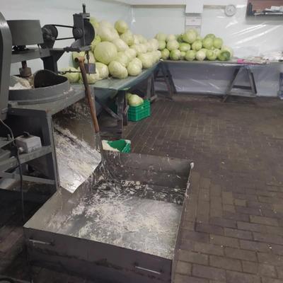 Darek kukiełka, kapusta własnej produkcji, szatkowana, głowki, kiszona, tyszowce, AgrosPol