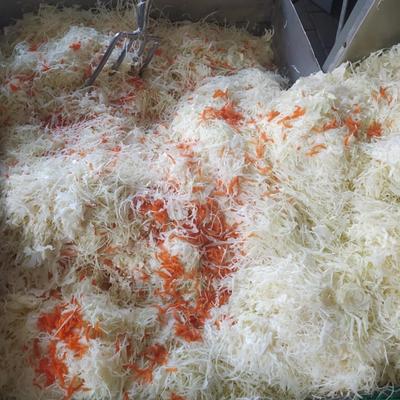 Darek kukiełka, kapusta własnej produkcji, szatkowana, głowki, kiszona, tyszowce, AgrosPol