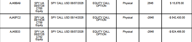 Holdings table showing SPY equity call option positions used by the JPMorgan Equity Premium Yield ETF (ROCY), including option expiration dates, share amounts, and market values.