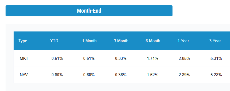 Month-end returns table for CAOS showing YTD and trailing 1-, 3-, 6-, 12-, and 36-month performance for market price and NAV.