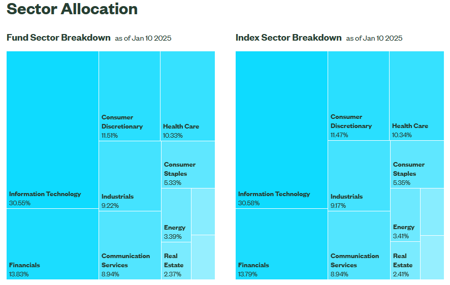 Sector Allocation chart showing Fund and Index Sector Breakdown as of January 10, 2025. Key sectors include Information Technology (30.55% for the Fund and 30.58% for the Index), Financials (18.79% for the Index), Consumer Discretionary (15.1% for the Fund), and others like Health Care, Consumer Staples, Industrials, and Communication Services.