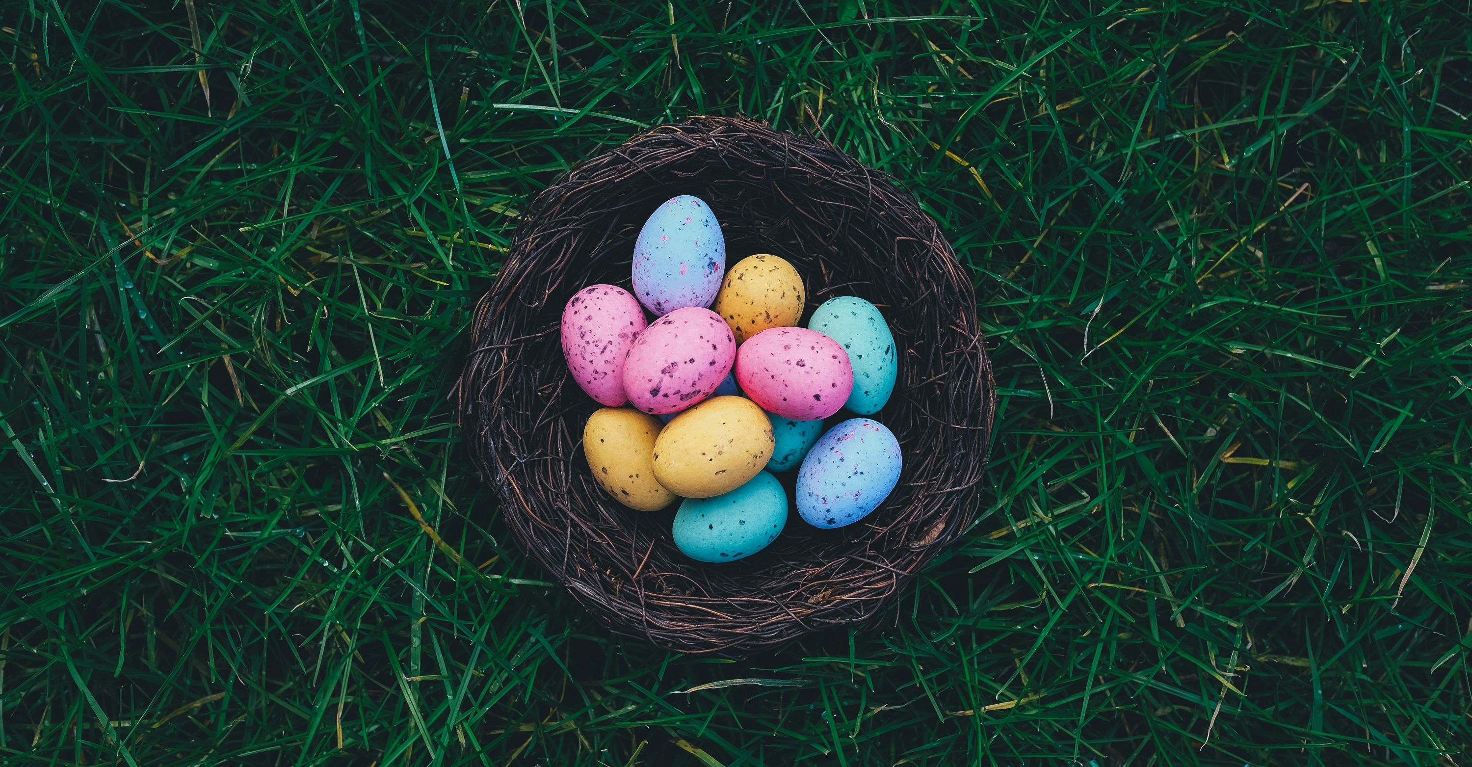Eggs in a basket