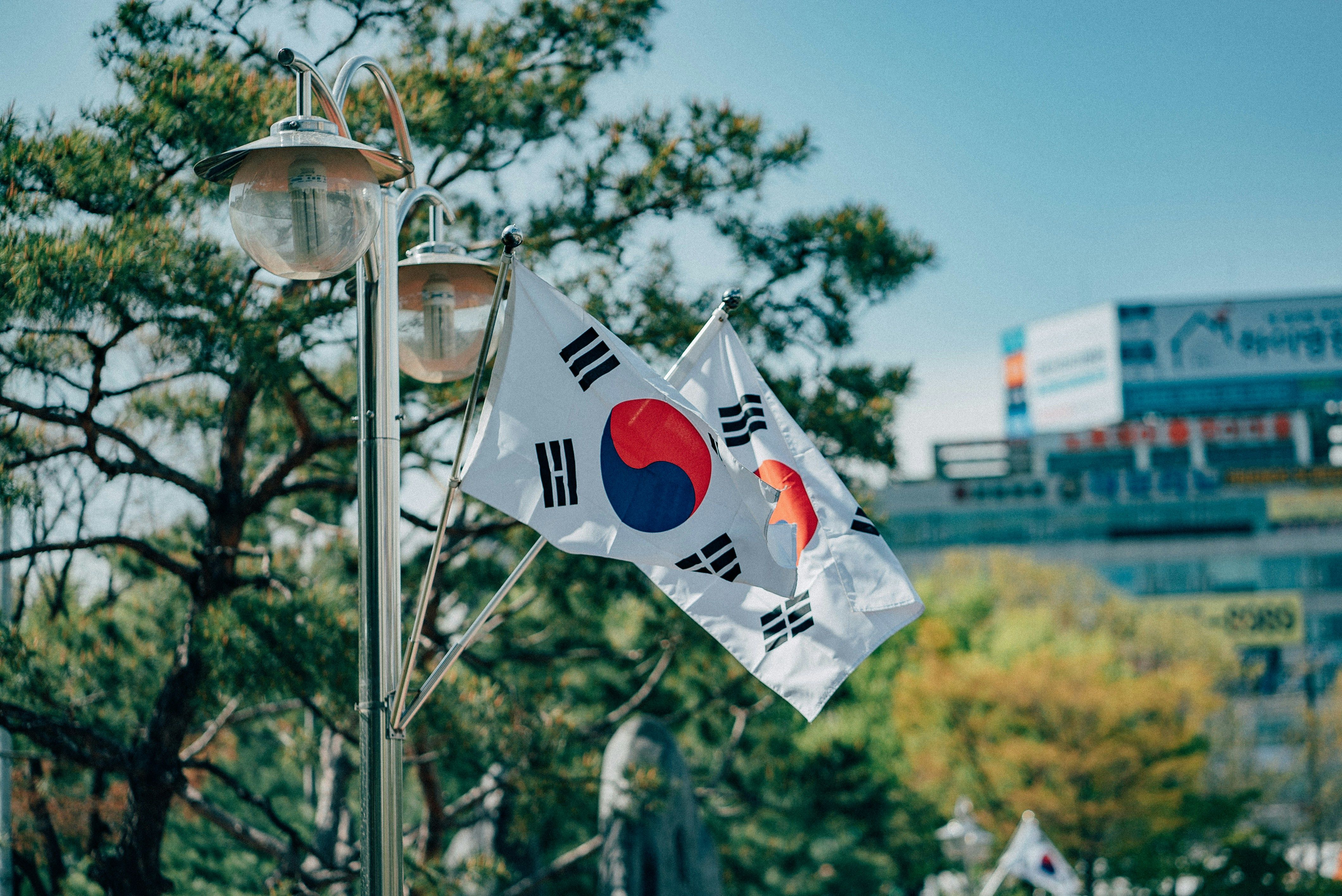 Korean flags
