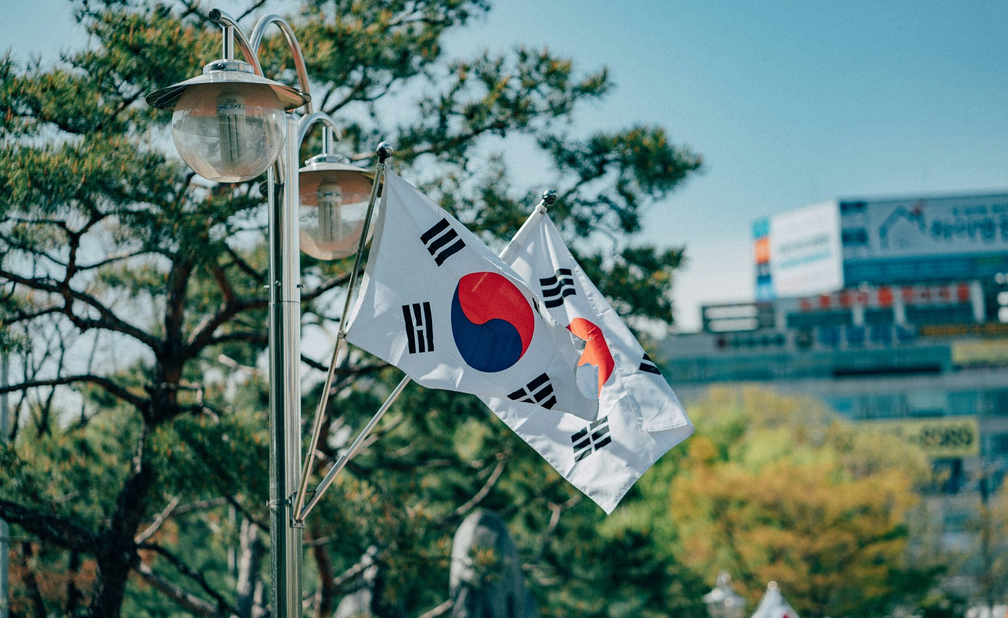 Korean flags