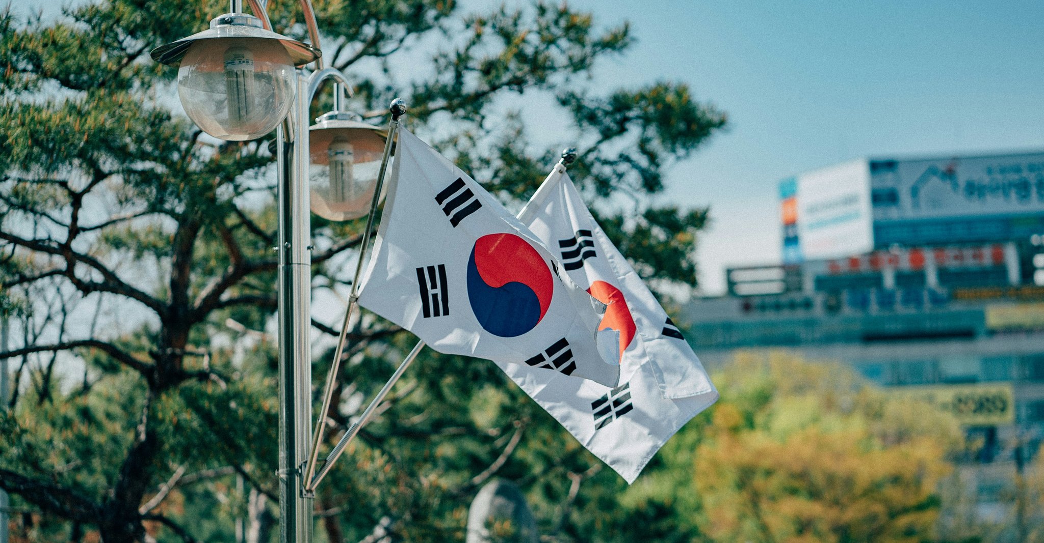Korean flags