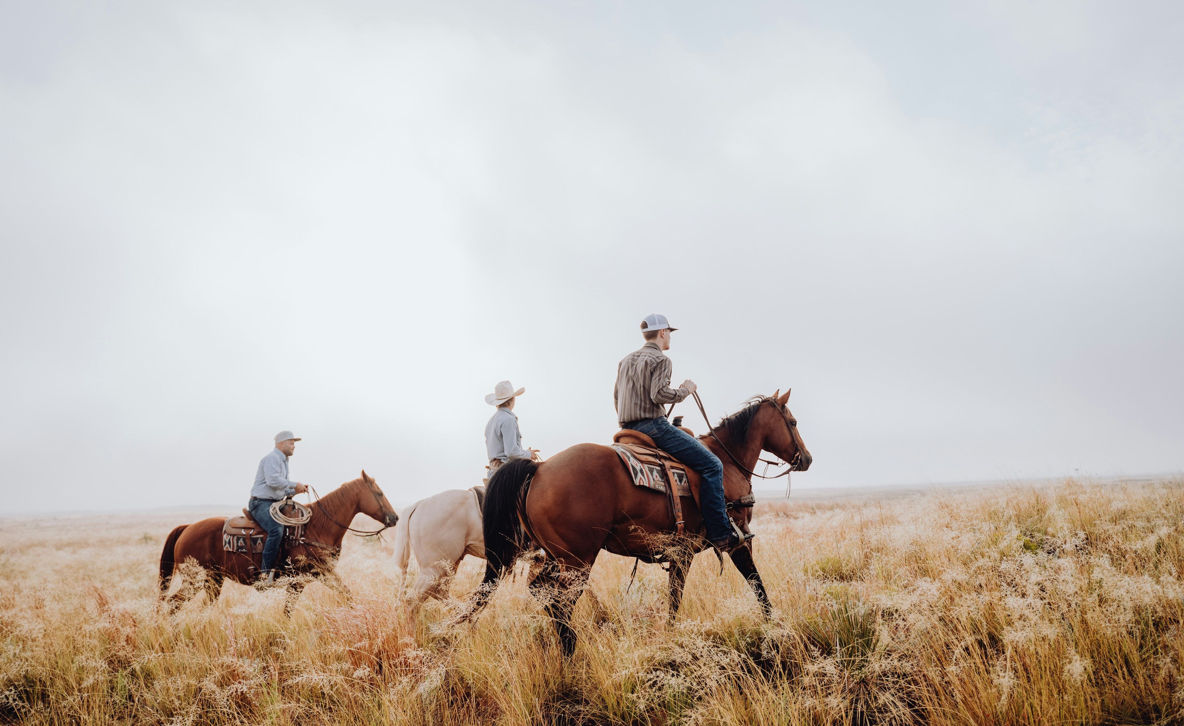 People on horses