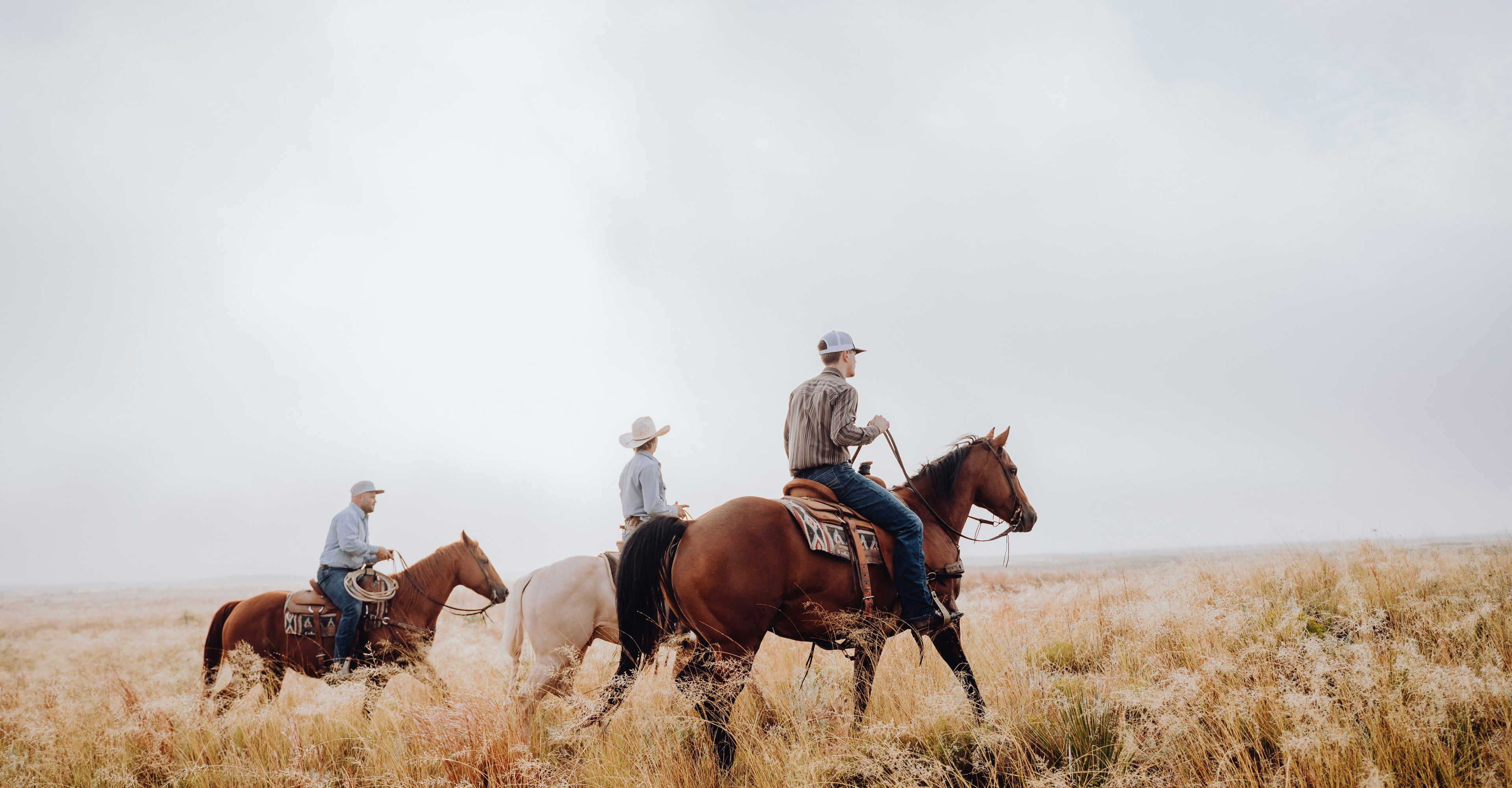 People on horses