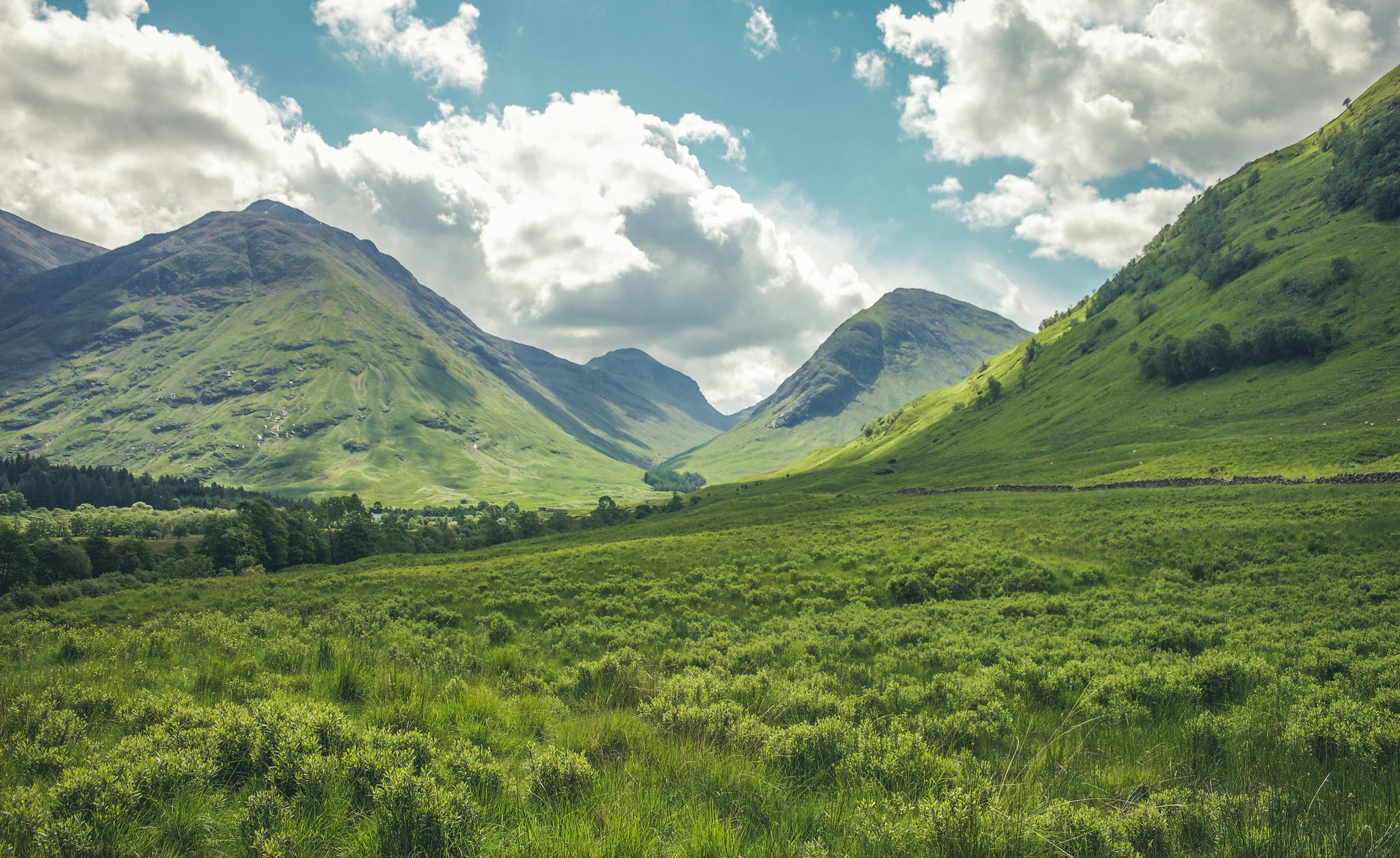 Hills representing cover and ups and downs