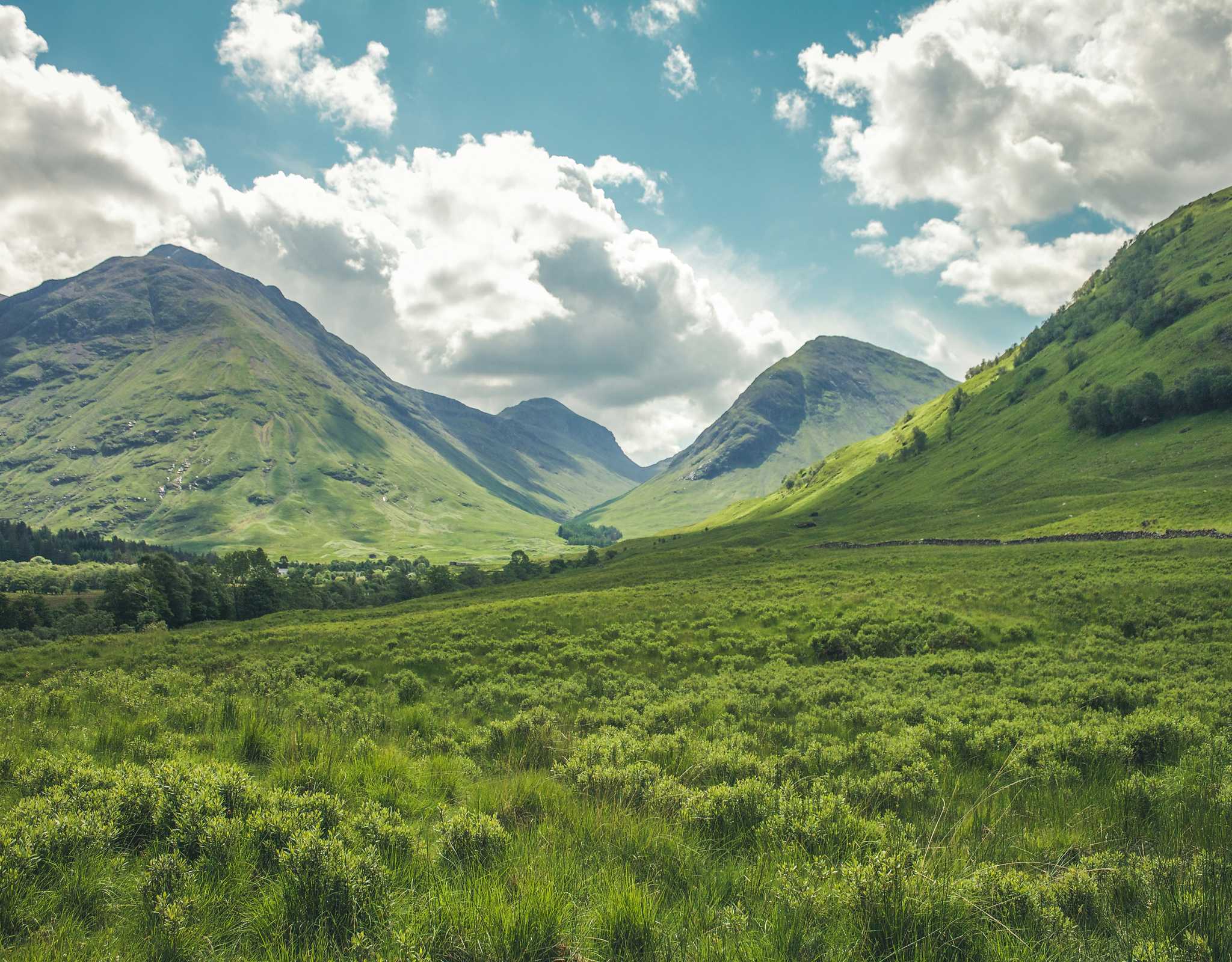 Hills representing cover and ups and downs