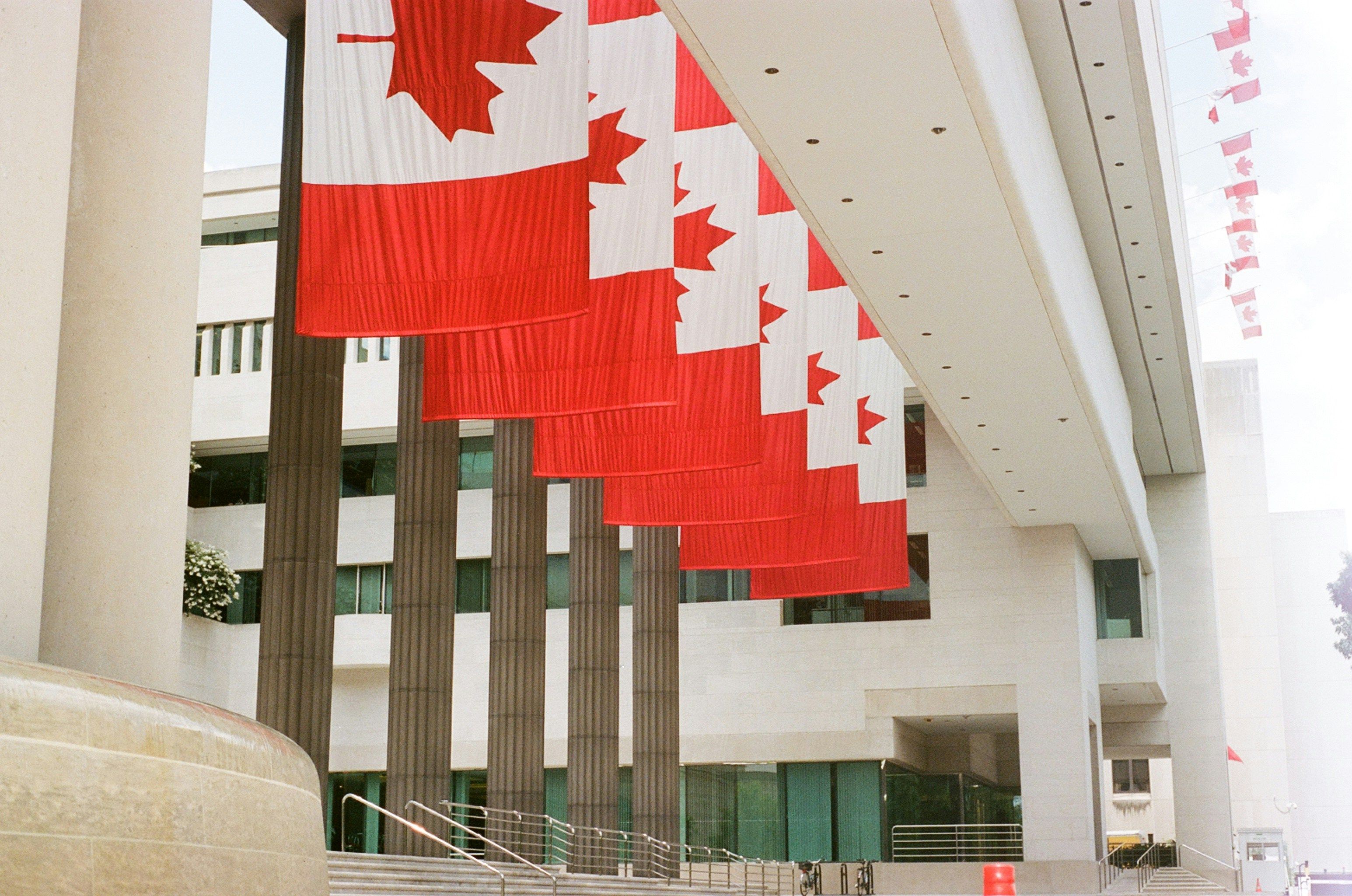 Canadian flags in a line