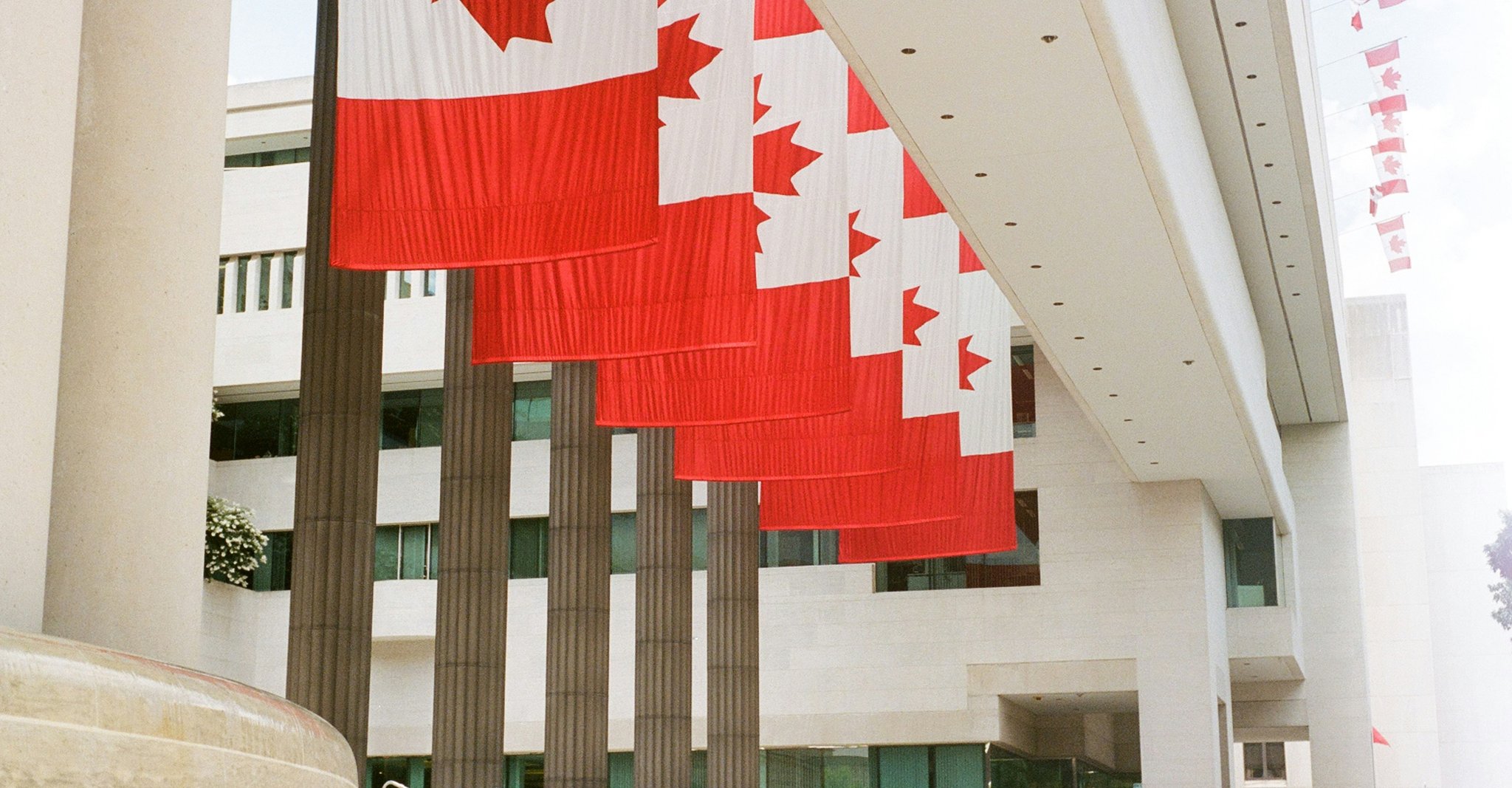 Canadian flags in a line