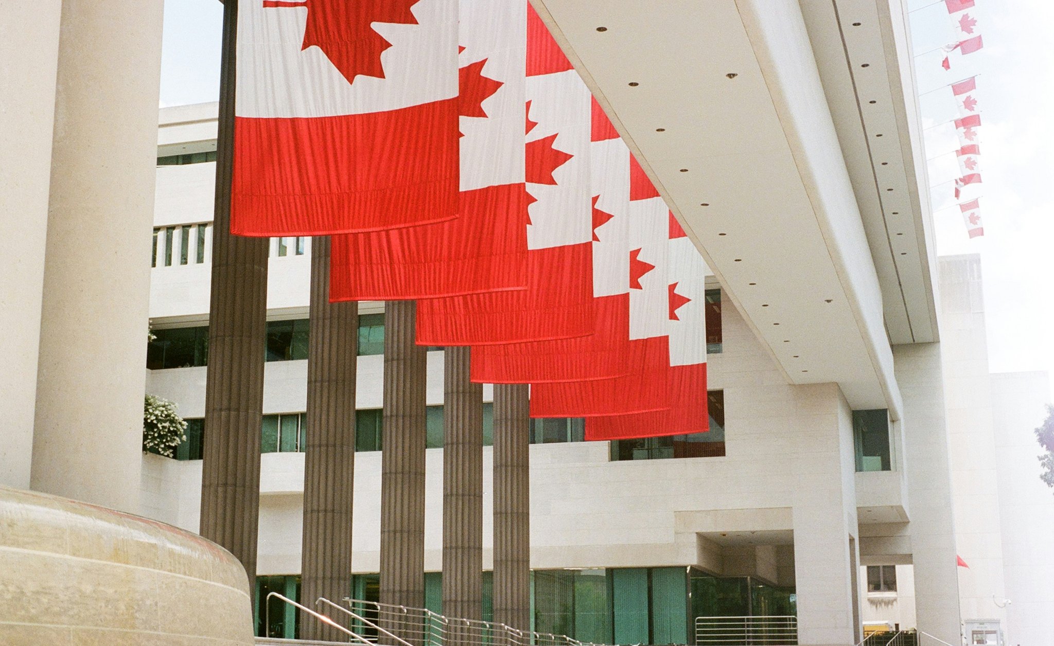 Canadian flags in a line