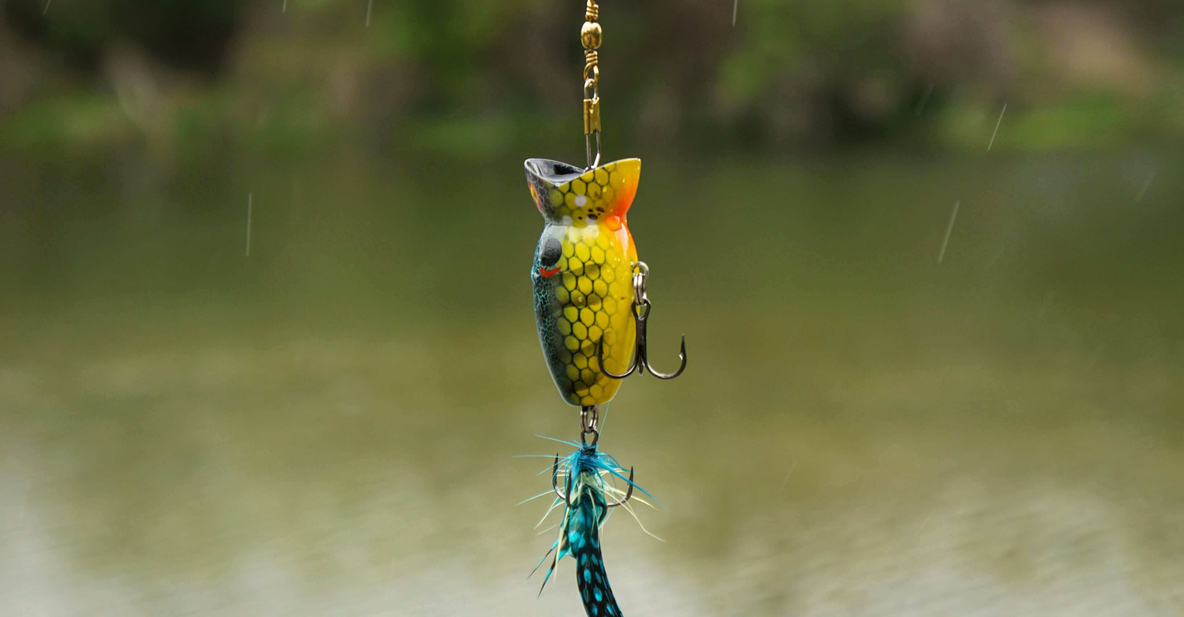fish bait