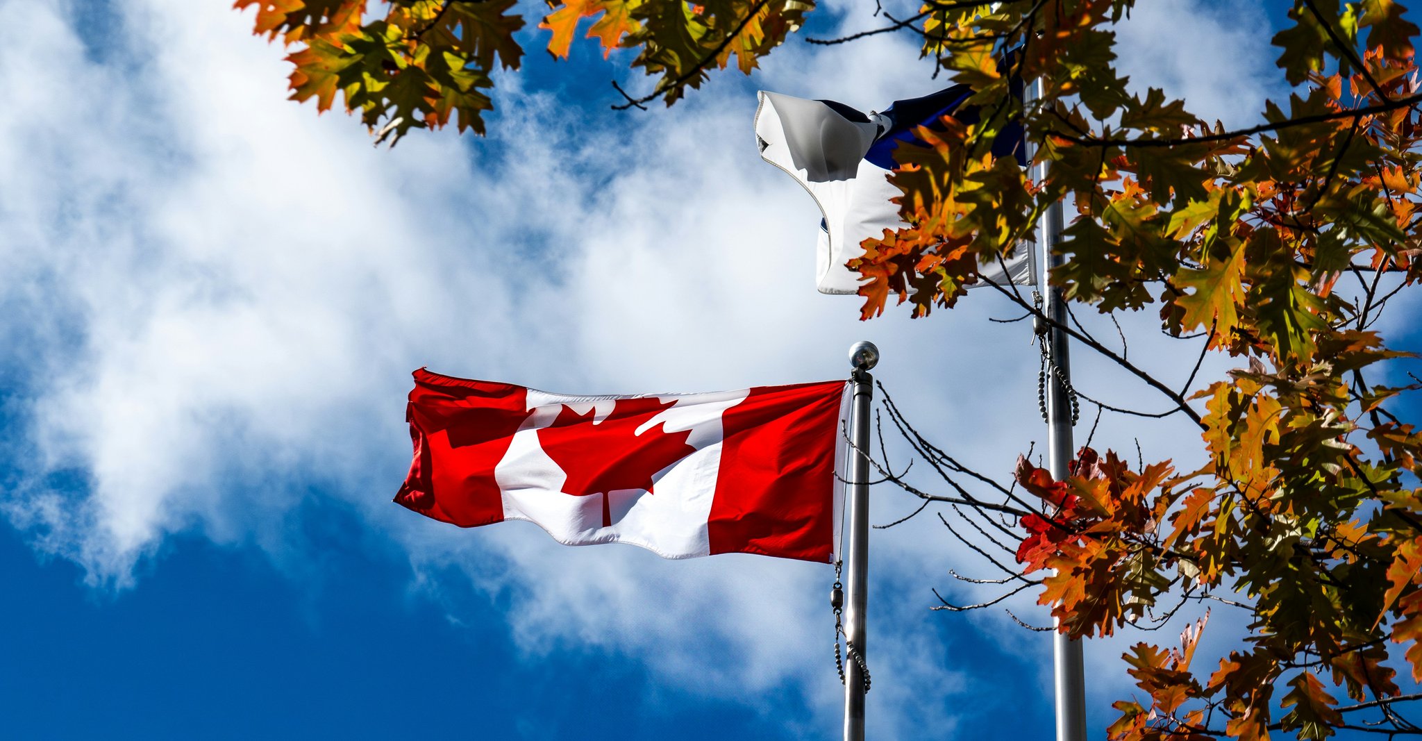 Canadian Flag