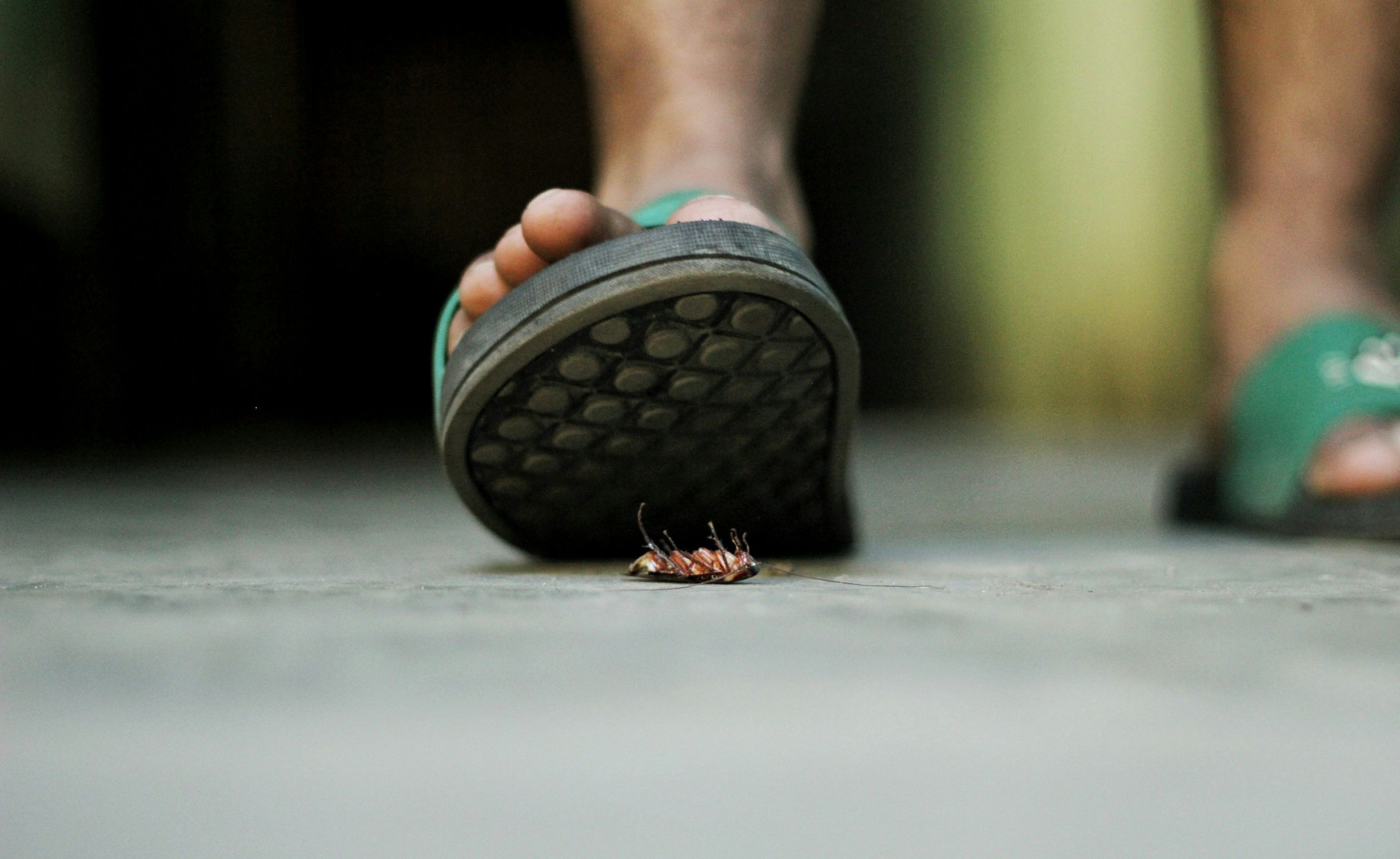 Stepping on a cockroach