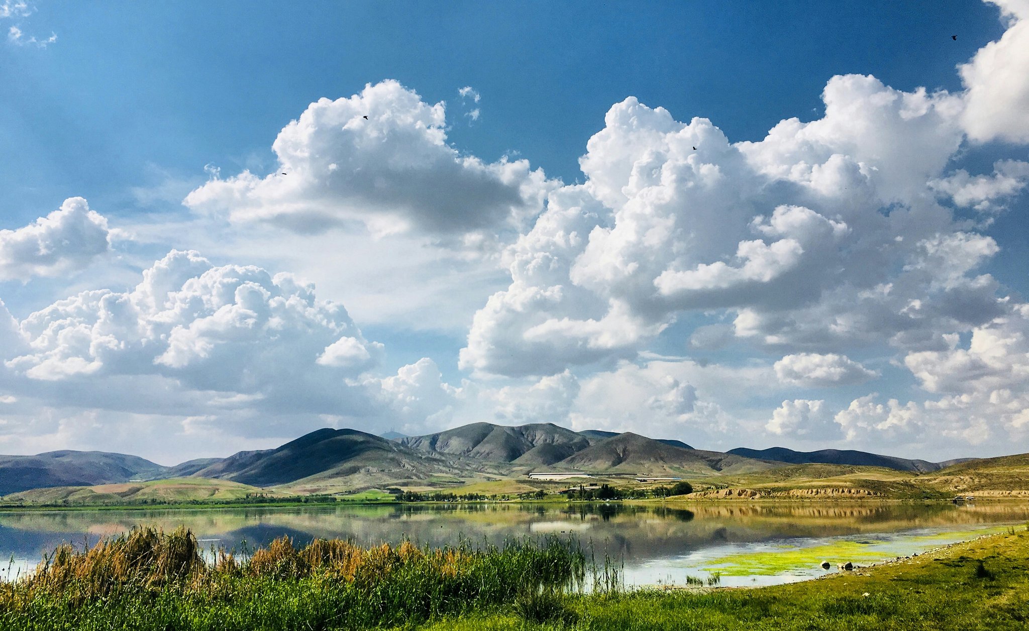 Weather over a plain