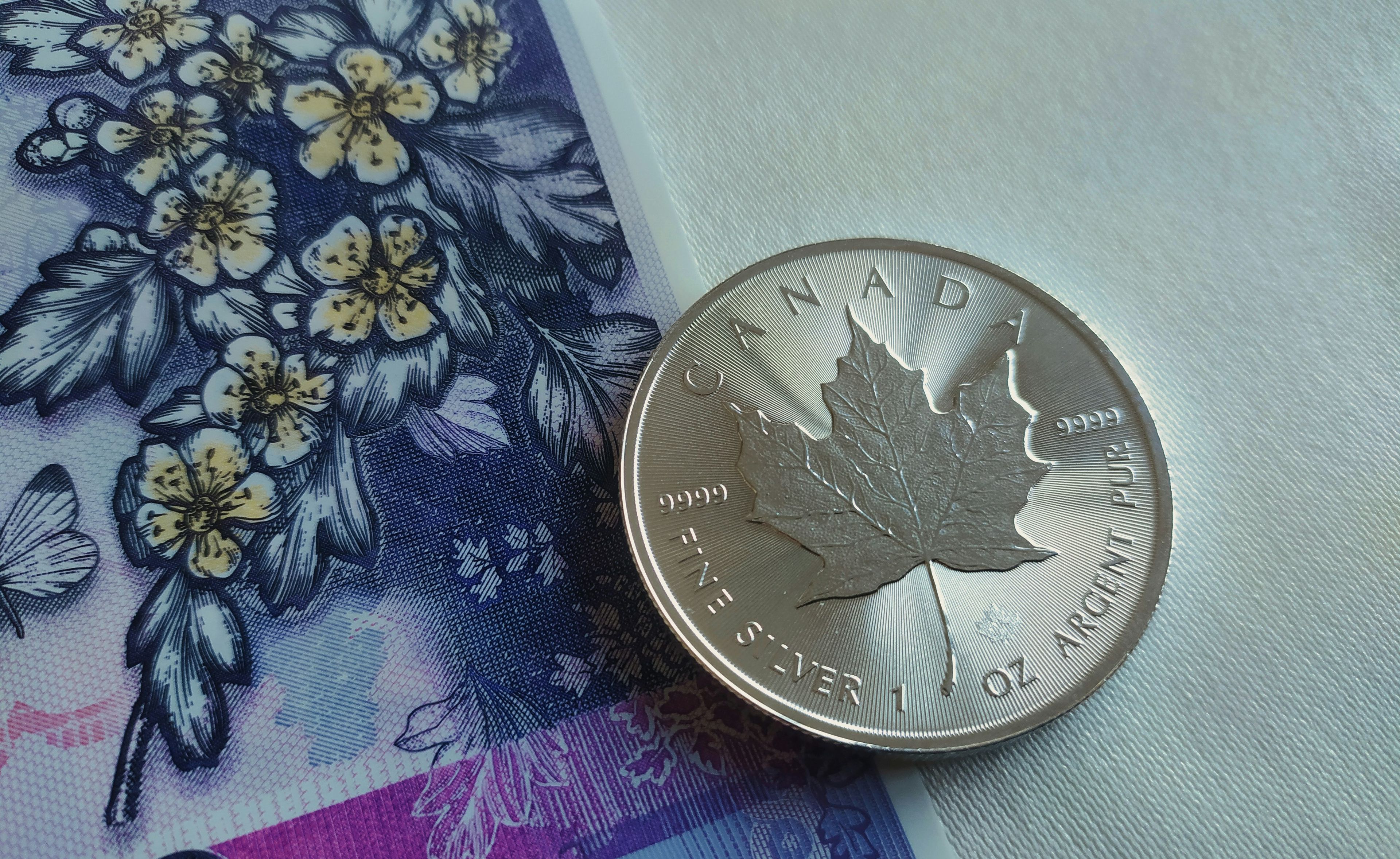 Canadian Silver Coin