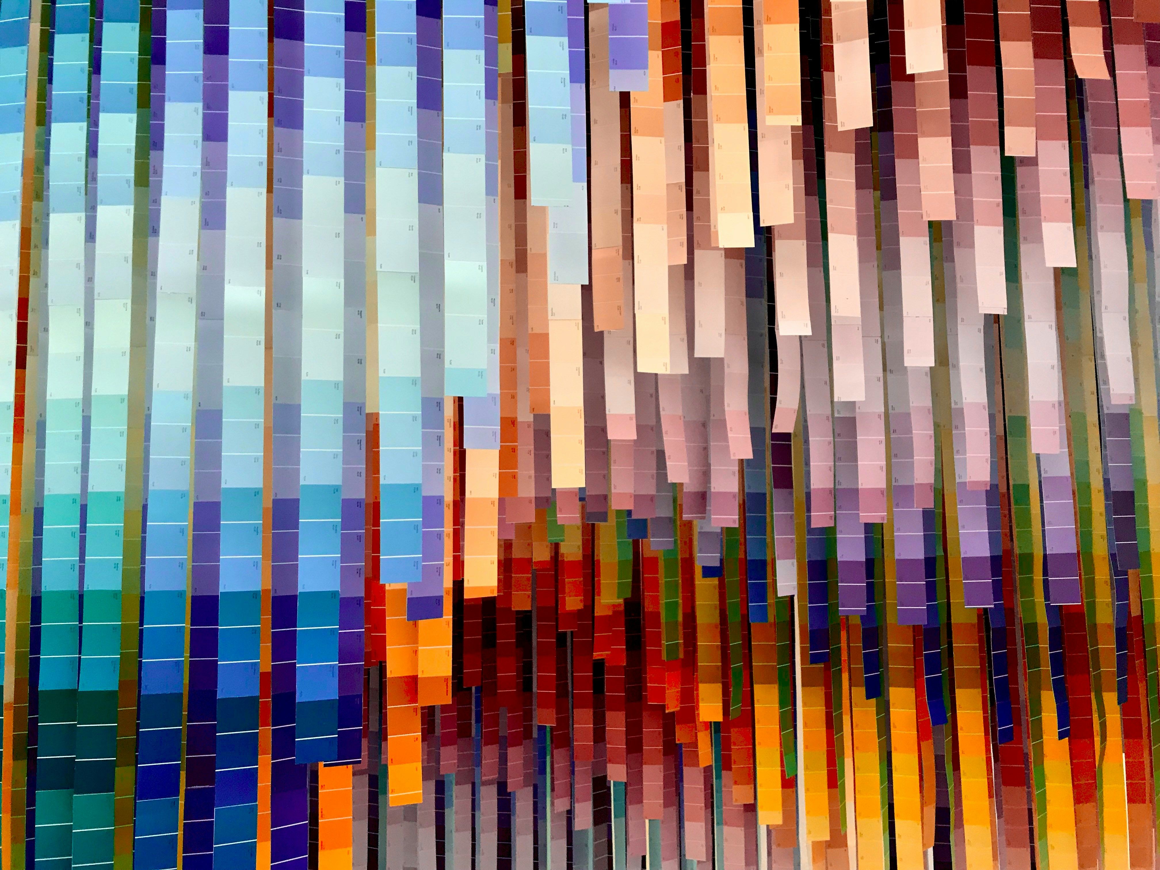 Diversity represented by many colours