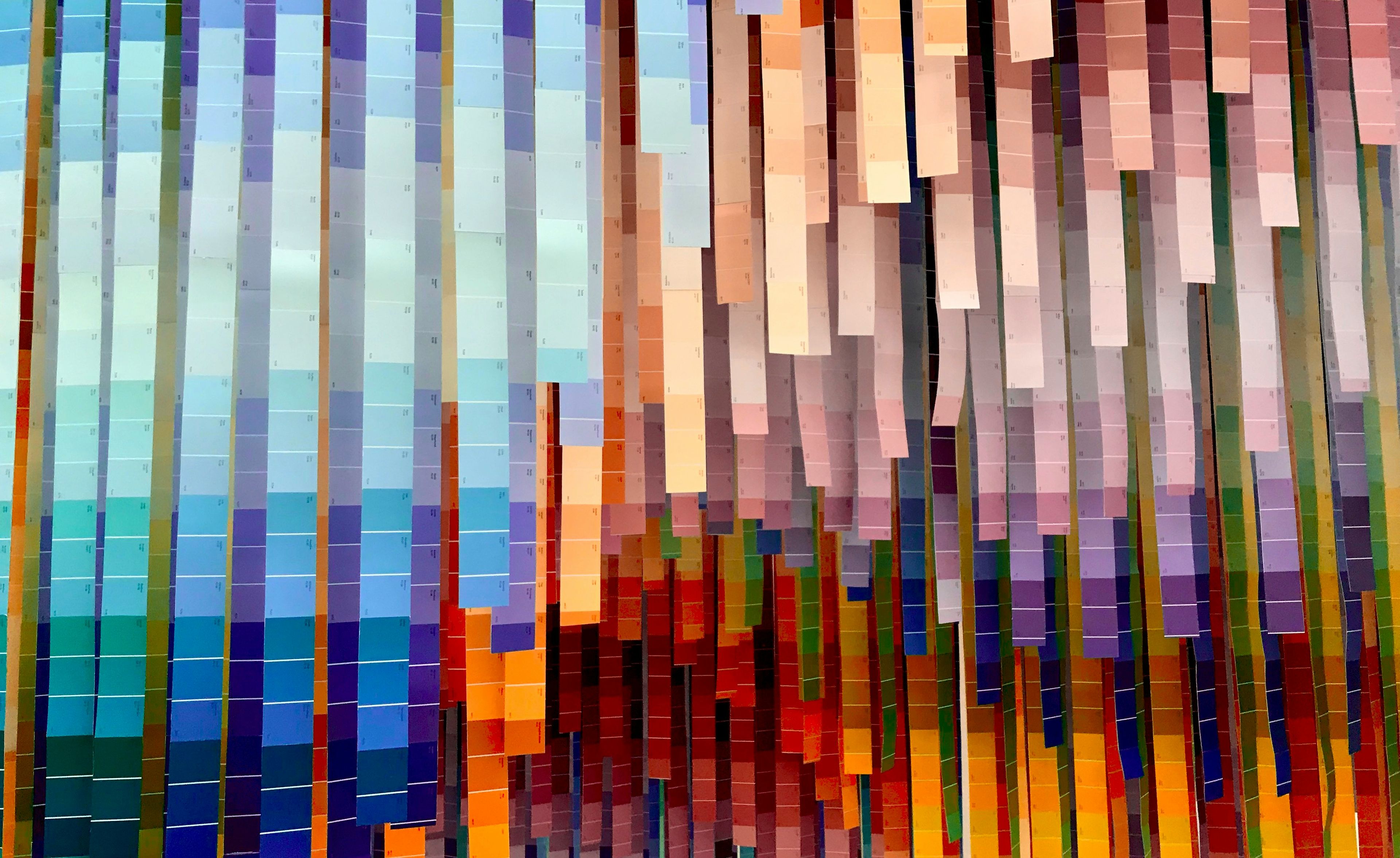 Diversity represented by many colours