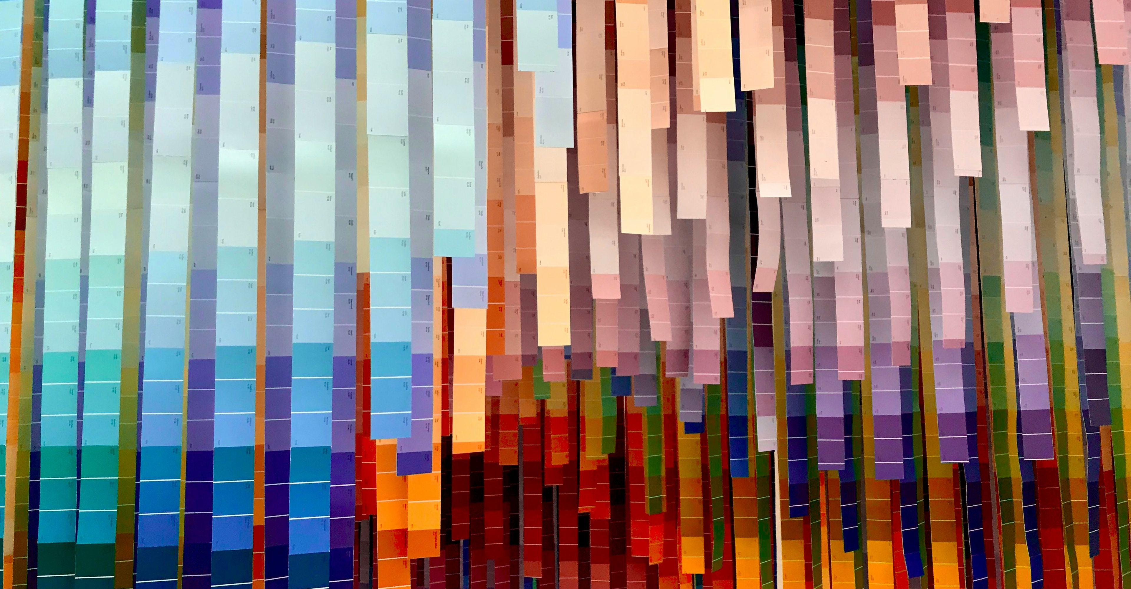 Diversity represented by many colours