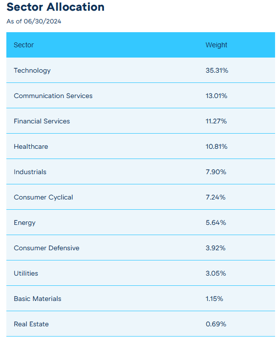 Sector allocation breakdown as of June 30, 2024, highlighting Technology (35.31%) as the largest sector, followed by Communication Services (13.01%) and Financial Services (11.27%).