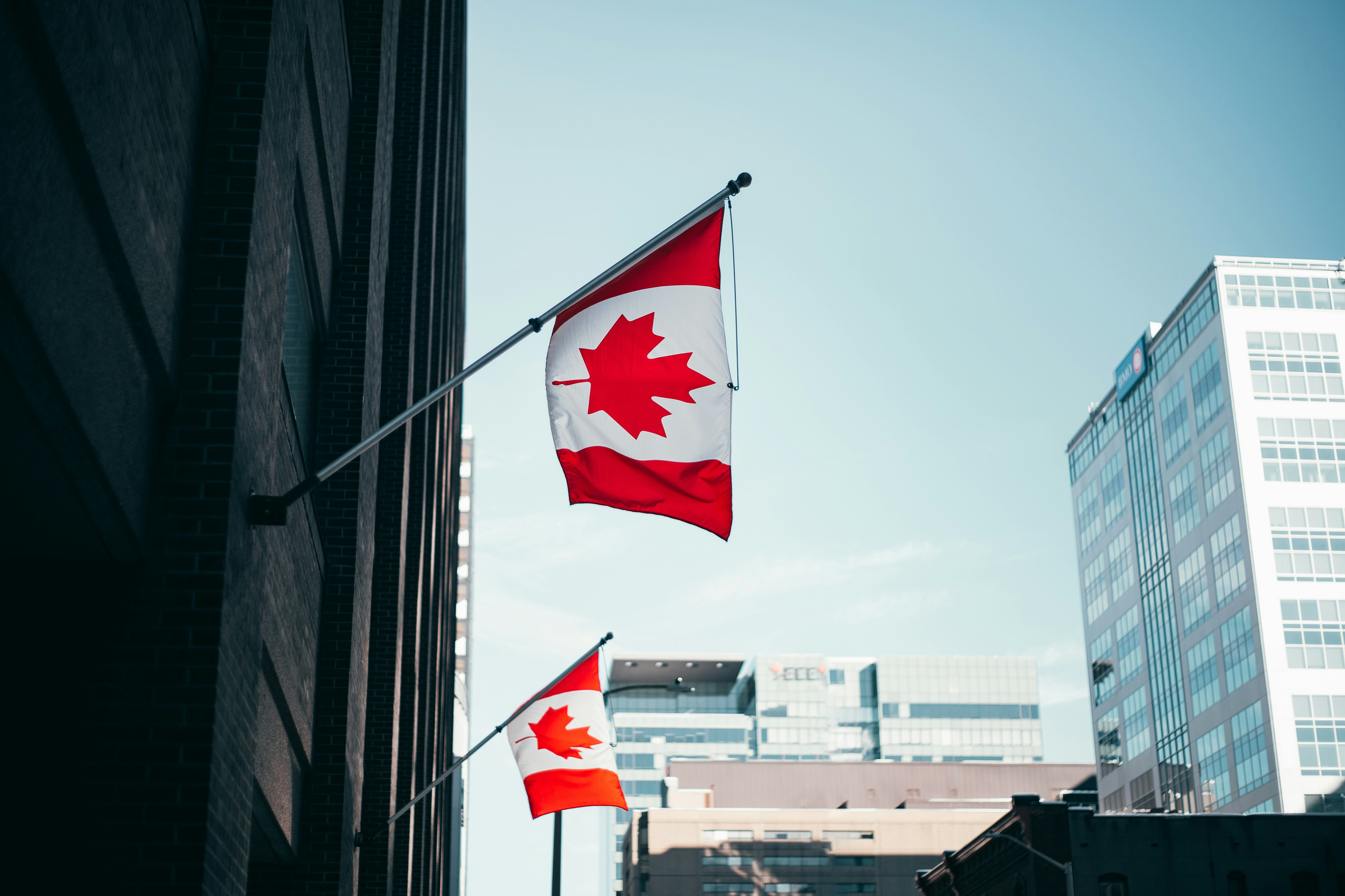 Canadian flags in a business district