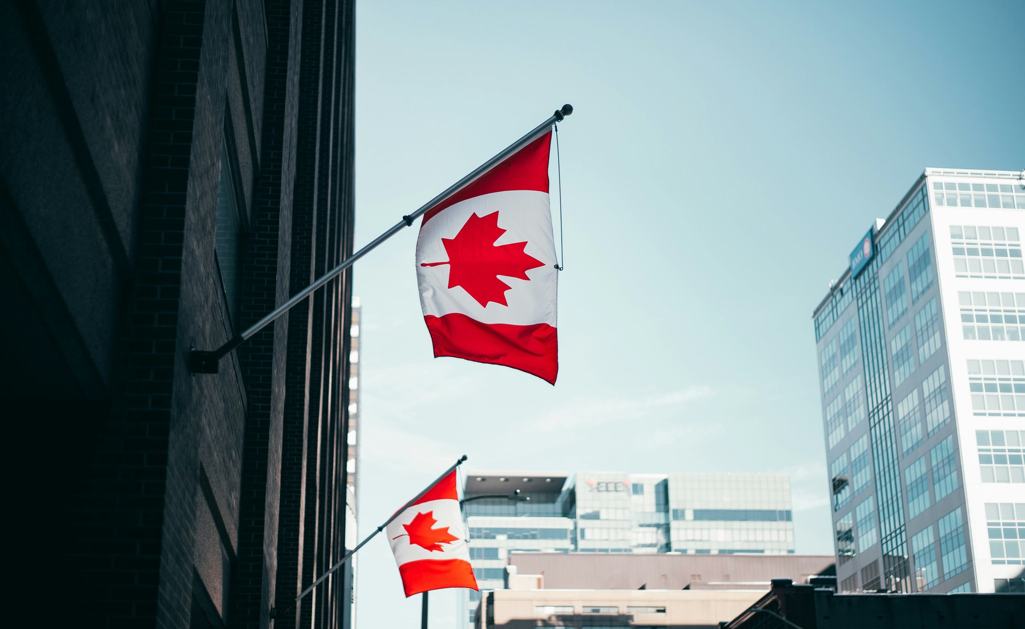 Canadian flags in a business district
