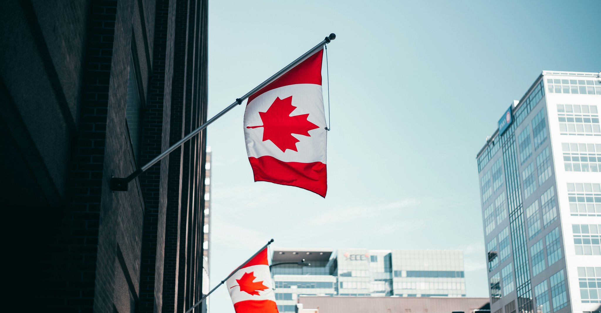Canadian flags in a business district