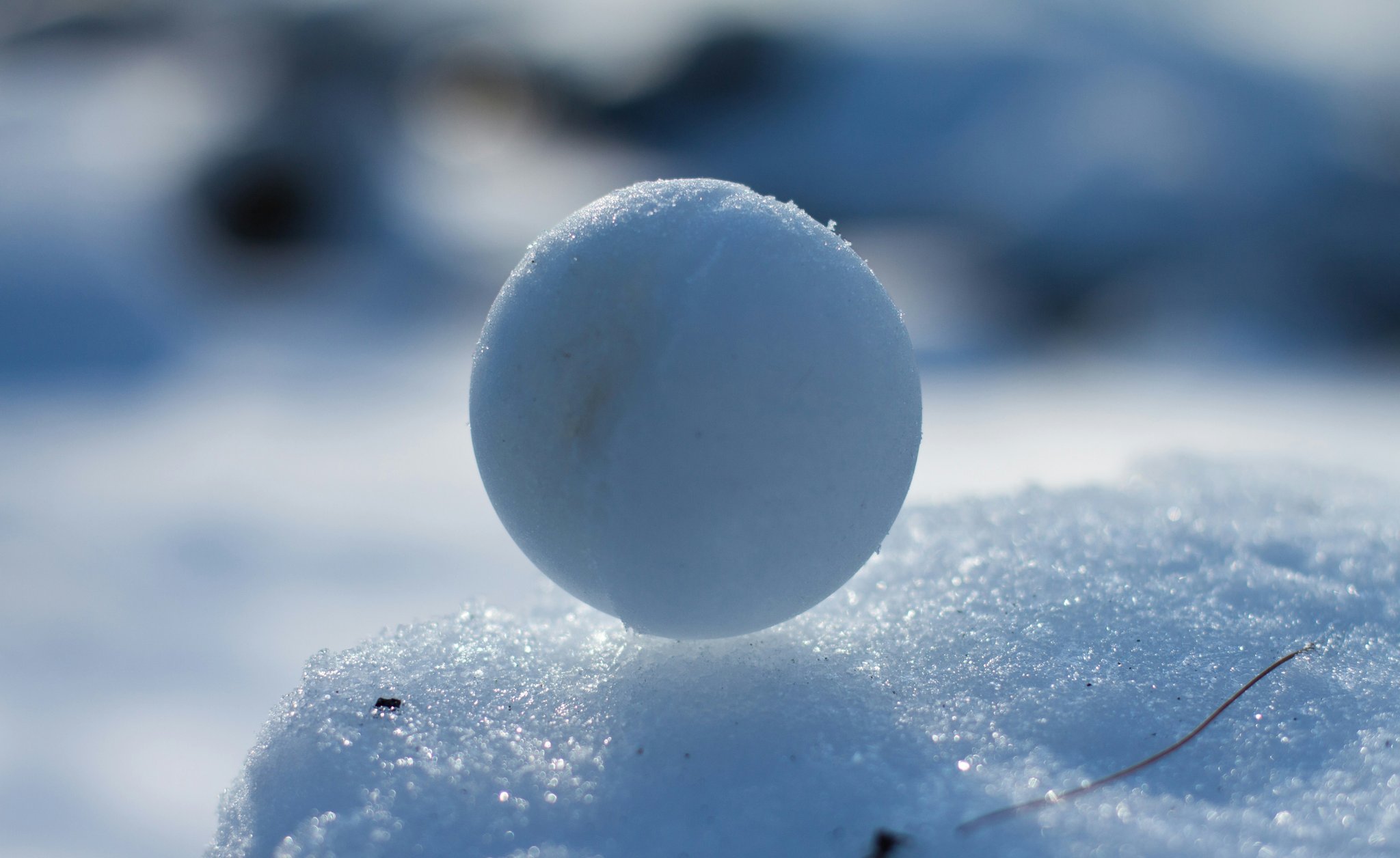 Snowball representing the snowball effect and the 'cold' truth