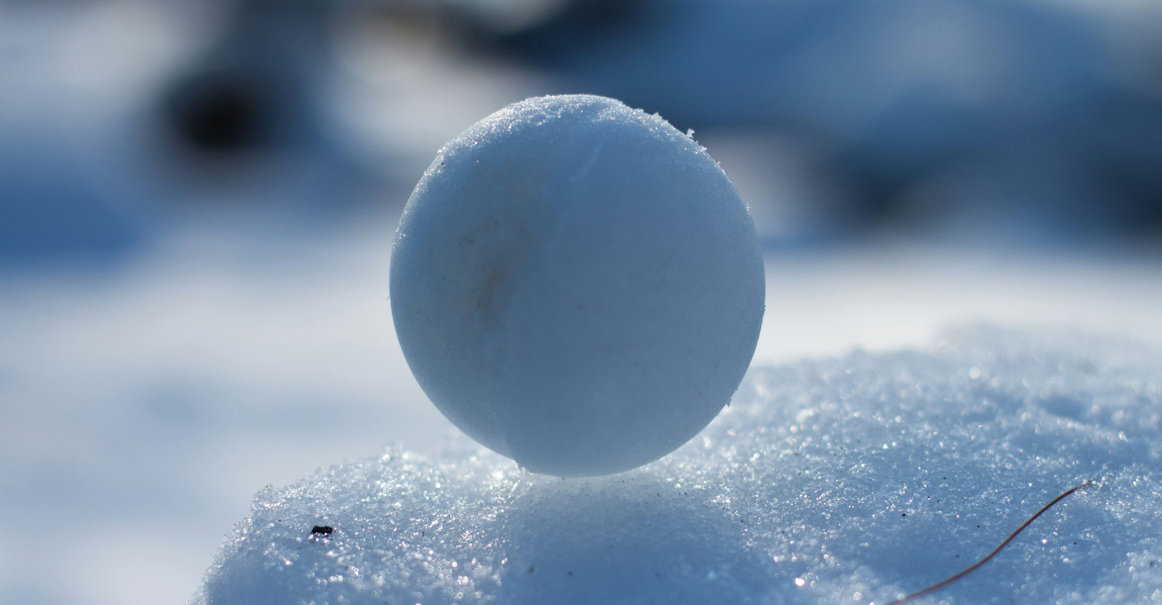 Snowball representing the snowball effect and the 'cold' truth
