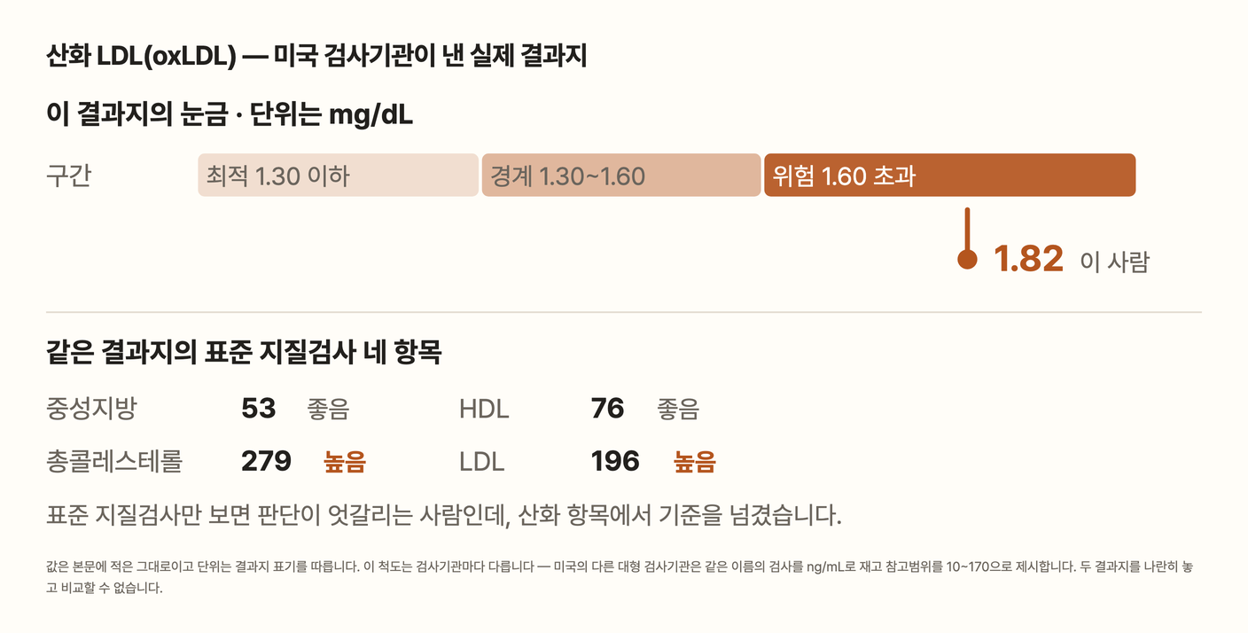 산화 LDL 1.82로 위험 구간입니다. 최적은 1.30 이하, 경계는 1.30에서 1.60, 위험은 1.60 초과이며 단위는 mg/dL입니다. 같은 결과지의 표준 지질검사에서는 중성지방 53과 HDL 76이 좋았고 총콜레스테롤 279와 LDL 196은 높았습니다.