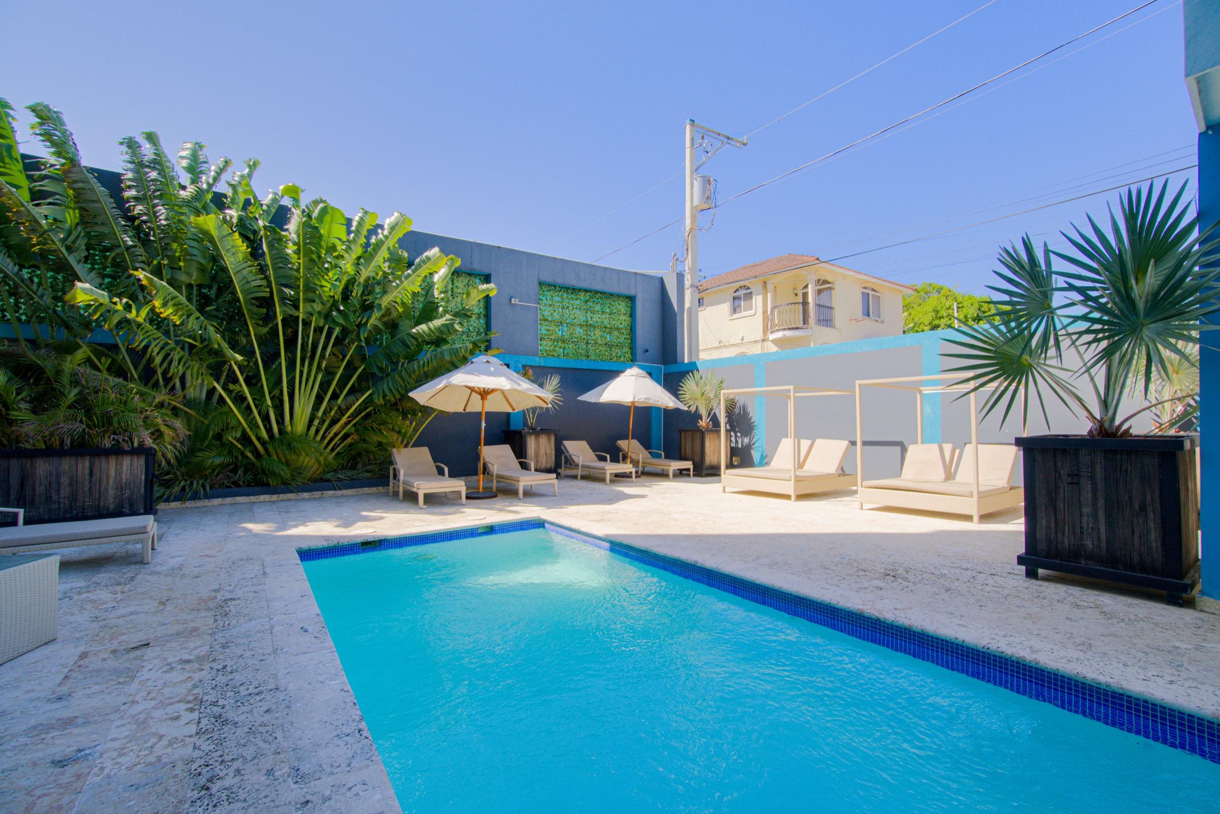 Solárium junto a la piscina con camastros y palmeras en la propiedad