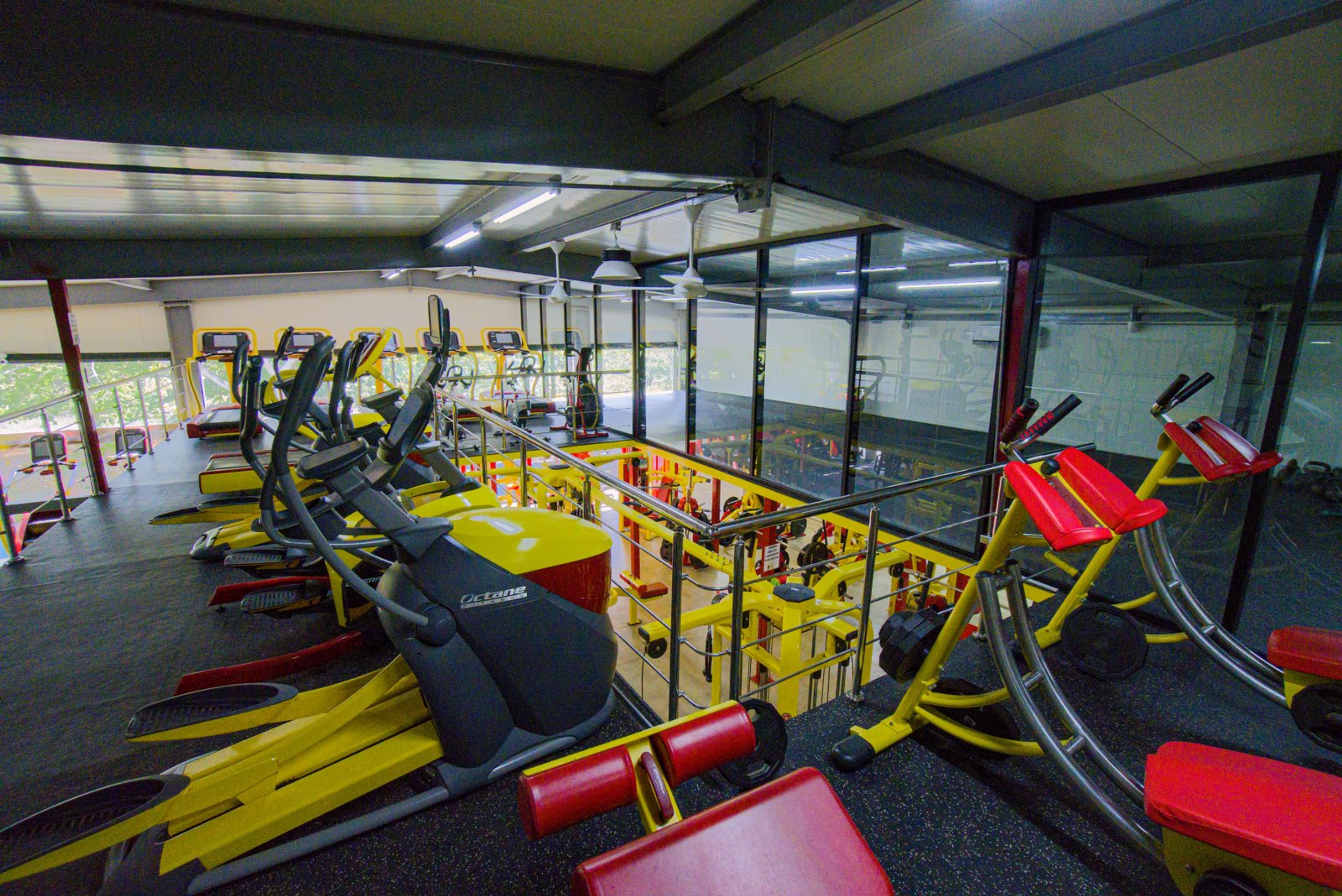 Cardio equipment beside the large windows in the shared gym