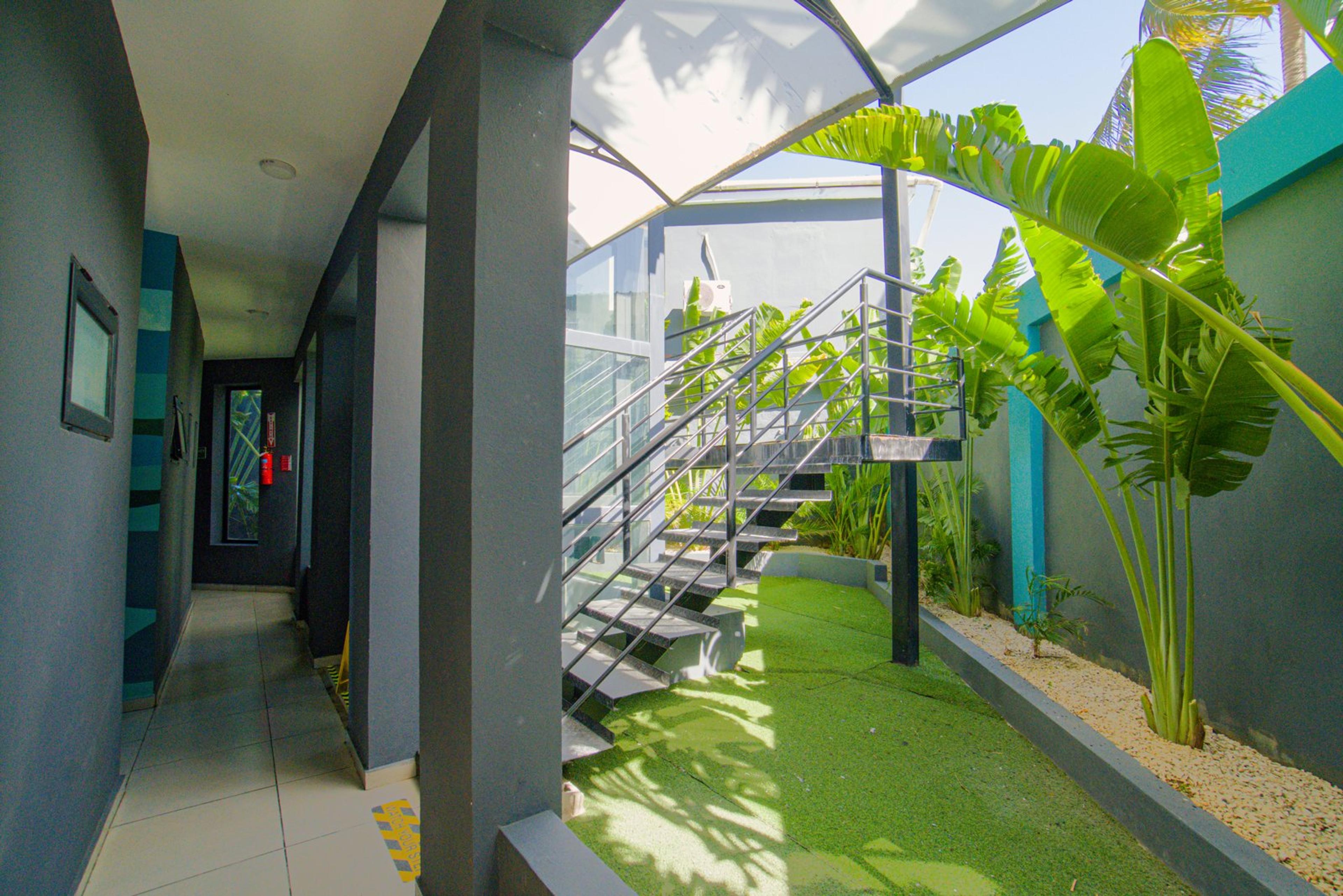 Garden walkway with tropical plants and an outdoor staircase
